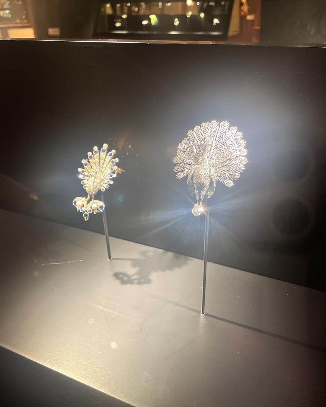 理絵さんのインスタグラム写真 - (理絵Instagram)「インターメディアテク開館十周年記念特別展示『極楽鳥』  なんだか上手く撮れない...キラキラ輝きが凄すぎて私のスマホがやる気をなくしました💎  主催： 東京大学総合研究博物館＋レコール ジュエリーと宝飾芸術の学校 協力： 山階鳥類研究所 協賛：ヴァン クリーフ＆アーペル  #インターメディアテク #intermediatheque #ヴァンクリーフアーペル #博物館 #東京大学 #kitte #ジュエリー #宝石 #理絵アート #rie_love_art」3月30日 11時30分 - ____rie____