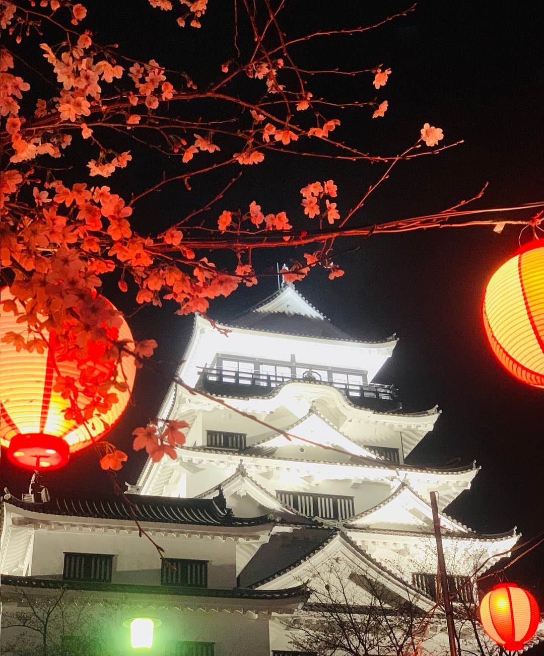 のインスタグラム：「. 【福山城の桜🌸】 福山城の桜も少しずつ満開に近づいてきています😊 今週末には見頃を迎えるかも？😳 4/9(日)まで #福山城桜まつり を開催中！ 期間中、夜桜のライトアップも楽しめます✨  そして4/1(土)17:00～は「天寶一 春の新酒祭り」を開催🏮 福山駅北口スクエアに集合🍻🌸  #福山城 #花見 #桜 #春 #夜桜 #fukuyamacastle #fukuyama #castle #hiroshima」