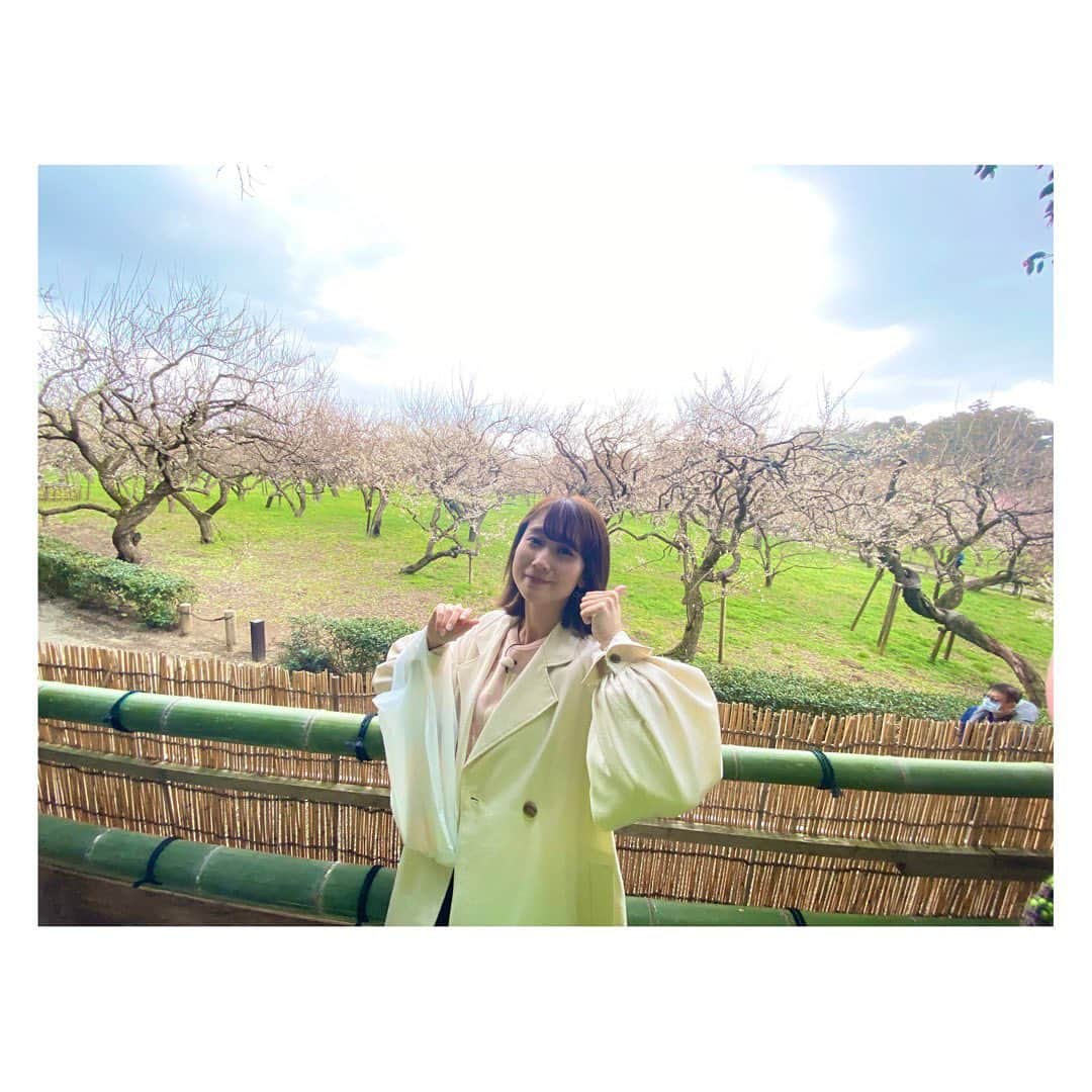 柴田平美さんのインスタグラム写真 - (柴田平美Instagram)「偕楽園 の梅は やっぱり美しい🌸  えりかカメラマンが 梅と撮ってくれました🌸  #偕楽園 #梅まつり #茨城 #いっとこ #アナウンサー」3月29日 18時49分 - narumi.shibata99