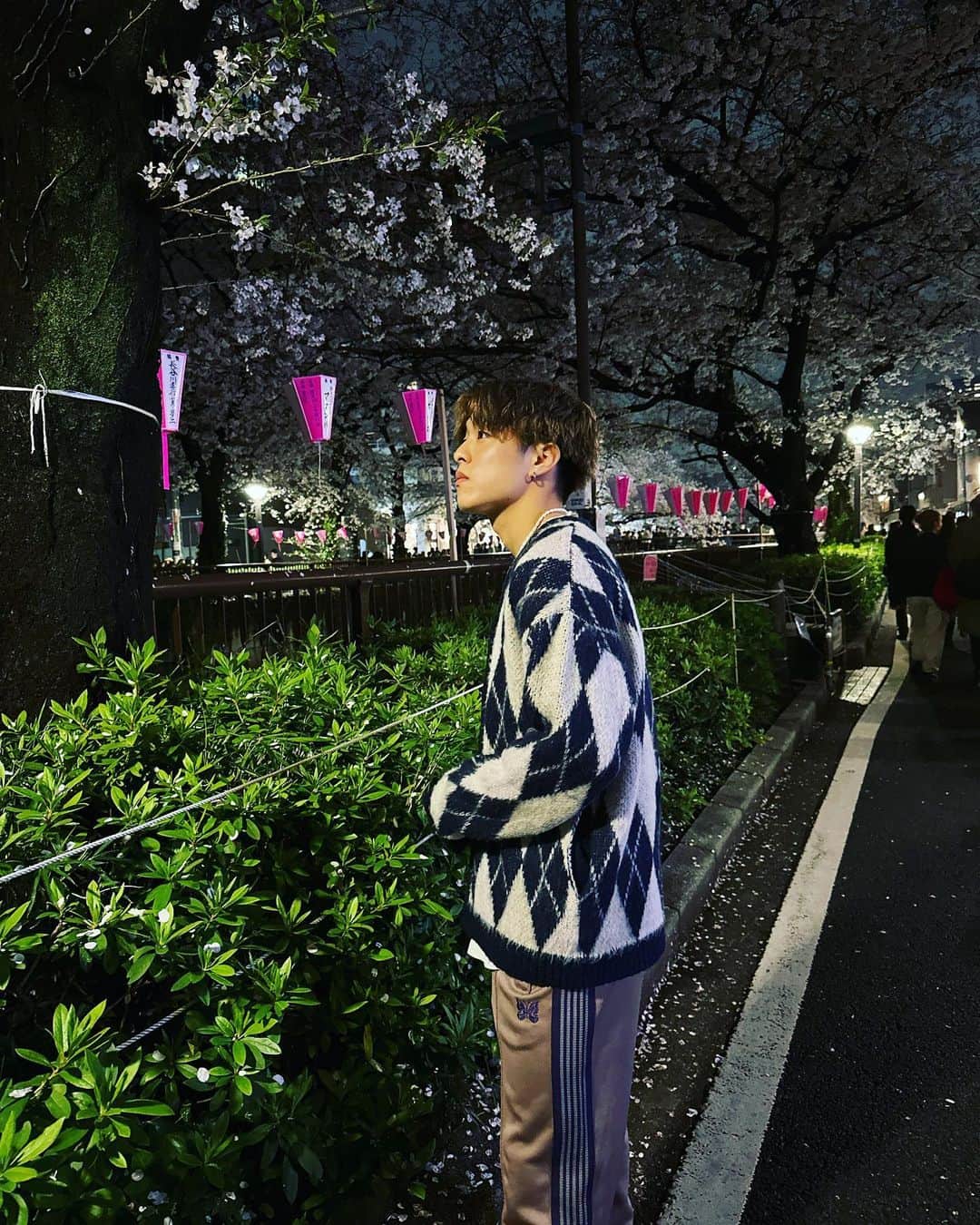 かっくんさんのインスタグラム写真 - (かっくんInstagram)「夜桜って素敵や。」3月29日 18時55分 - kakeru__u613