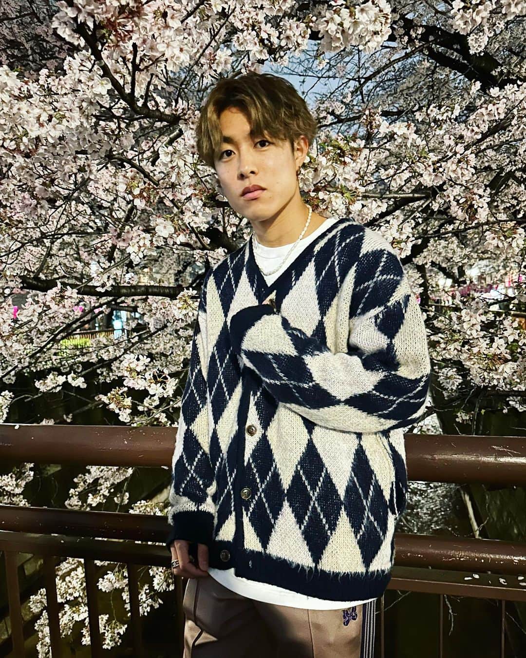 かっくんのインスタグラム：「夜桜って素敵や。」