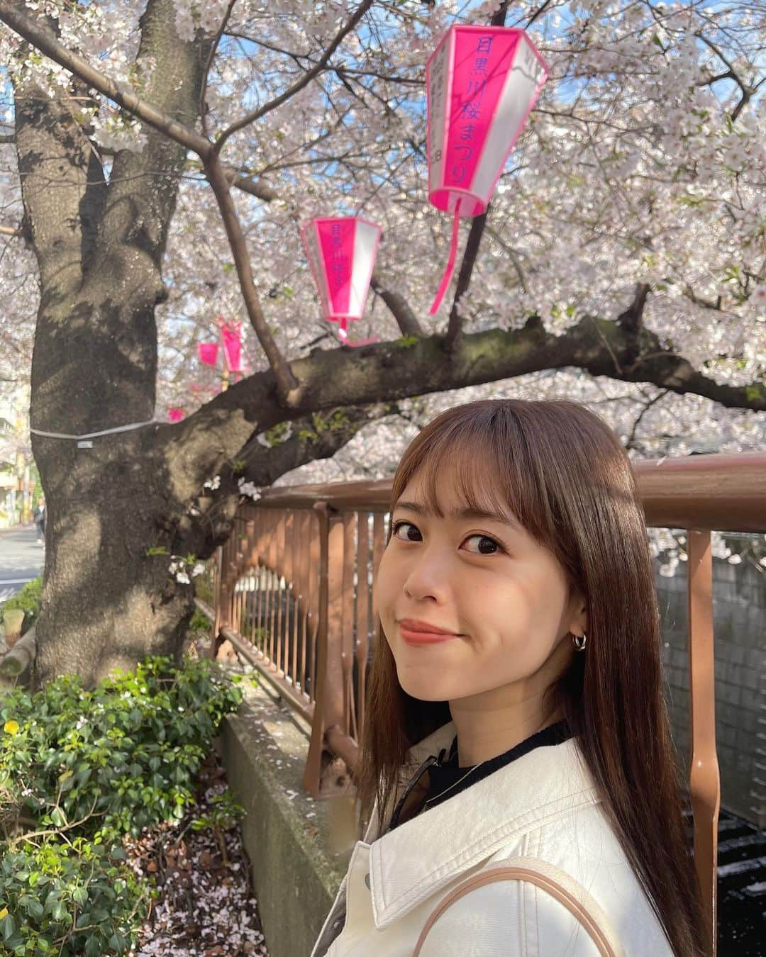 竹内舞さんのインスタグラム写真 - (竹内舞Instagram)「...  目黒川の桜見れた🌸  ホワイトデニムのセットアップおきに👖♡  #目黒川 #桜」3月29日 18時59分 - mai.t831