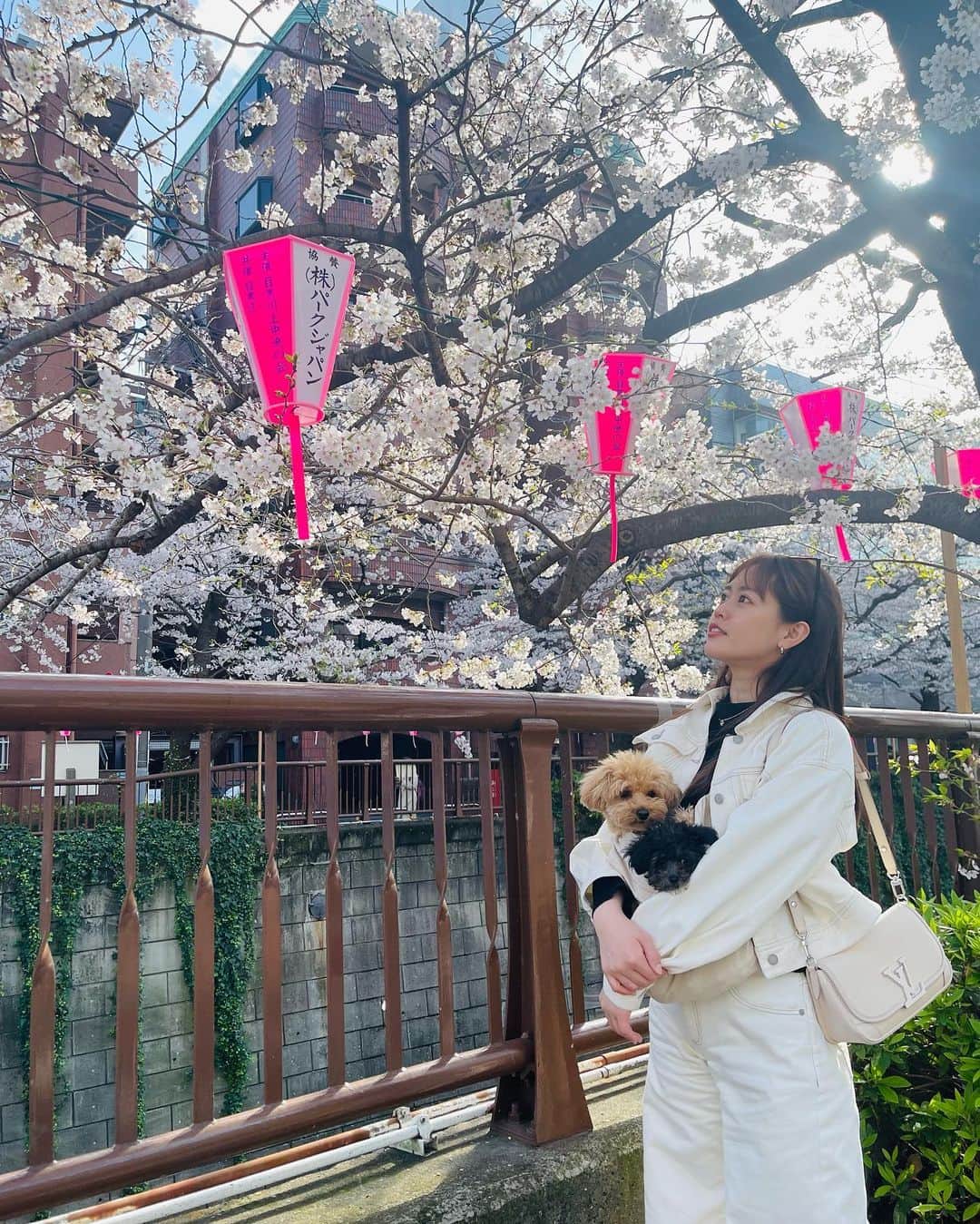 竹内舞さんのインスタグラム写真 - (竹内舞Instagram)「...  目黒川の桜見れた🌸  ホワイトデニムのセットアップおきに👖♡  #目黒川 #桜」3月29日 18時59分 - mai.t831