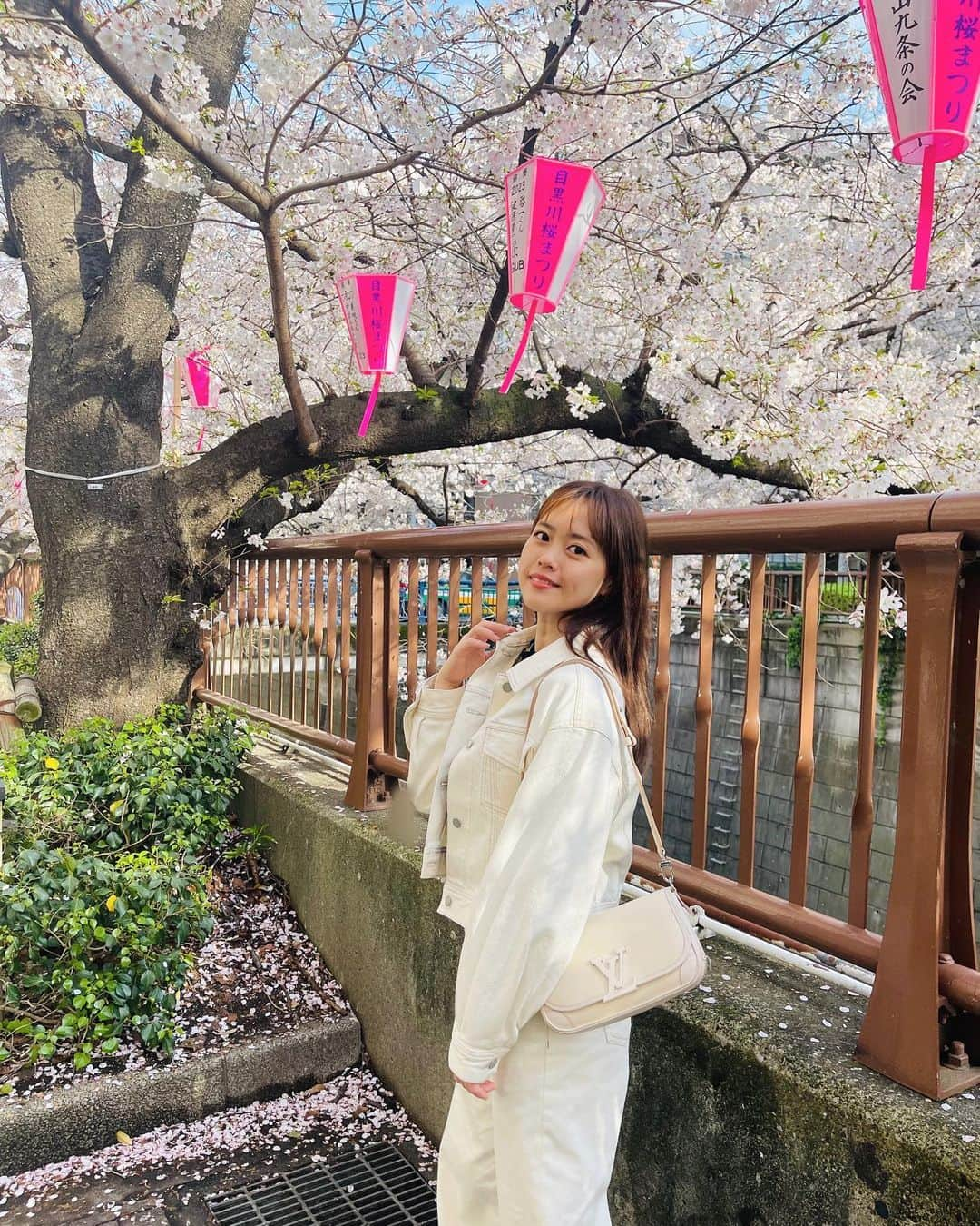 竹内舞さんのインスタグラム写真 - (竹内舞Instagram)「...  目黒川の桜見れた🌸  ホワイトデニムのセットアップおきに👖♡  #目黒川 #桜」3月29日 18時59分 - mai.t831