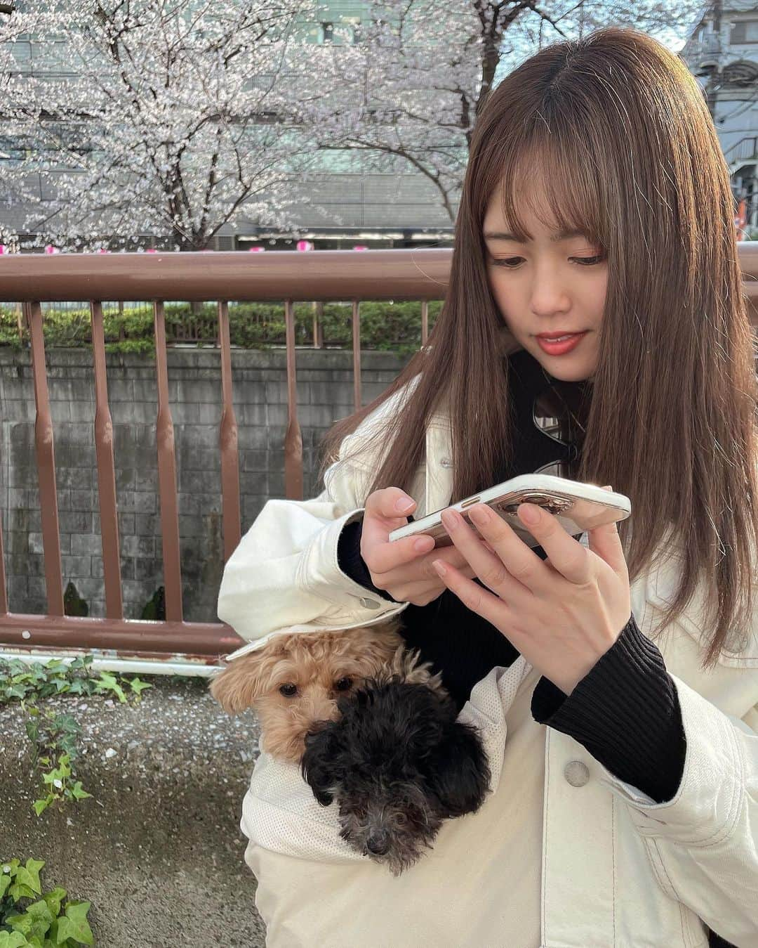 竹内舞さんのインスタグラム写真 - (竹内舞Instagram)「...  目黒川の桜見れた🌸  ホワイトデニムのセットアップおきに👖♡  #目黒川 #桜」3月29日 18時59分 - mai.t831