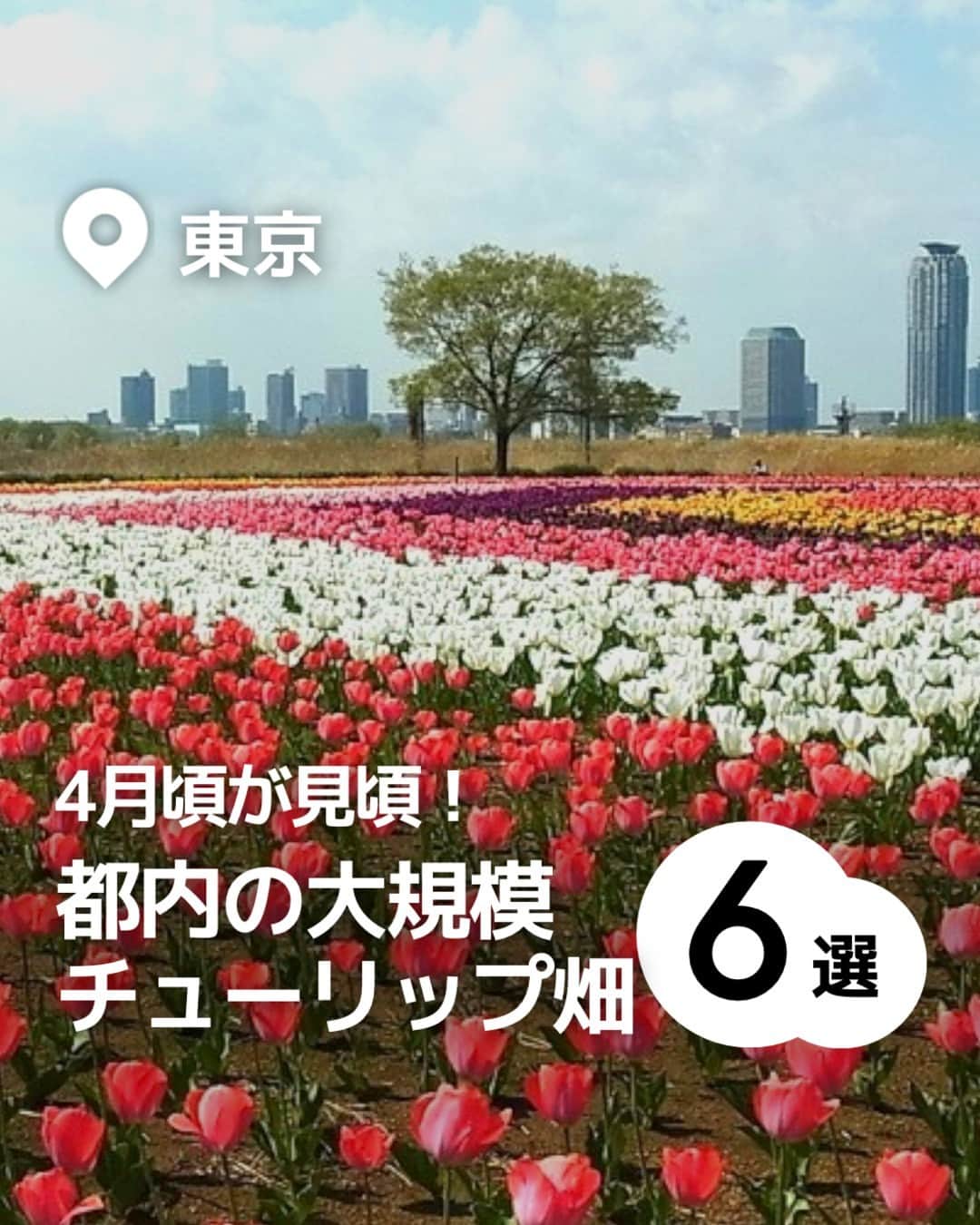 iko-yo（いこーよオフィシャル）さんのインスタグラム写真 - (iko-yo（いこーよオフィシャル）Instagram)「「都内の大規模 チューリップ畑6選」 今回ピックアップしたのは↓ ーーーーーーーーーーーーーーーーーー  📍東京都立川市 【国営昭和記念公園】 昭和天皇御在位50年を記念して造られた国営公園です。東京ドーム約39個分の広大な敷地では、1年を通してさまざまな花が観賞できます。また、園内を渓流広場から北へ進むと、巨大なトランポリン「雲の海（ふわふわドーム）」や日本一の大きさのハンモック「虹のハンモック」などが子供たちに人気の遊び場「こどもの森」もあります。  📍 東京都港区・江東区 【シンボルプロムナード公園】 公園内はウエスト・センター・イーストという3つのエリアに分かれており、それぞれにシンボリックなモニュメントやイベント会場が設置されています。新交通ゆりかもめ「お台場海浜公園駅」～「有明駅」の各駅より下車、徒歩すぐ。りんかい線「東京テレポート駅」「国際展示場駅」下車、徒歩すぐと都市にありながら、海と自然に囲まれた景色を満喫できるスポットです。  📍 東京都千代田区 【日比谷公園】 四季折々の花の名所としても人気のスポットです。敷地内には、幾何学文様の洋風花壇や噴水などがあり、公会堂や大小音楽堂、千代田区立日比谷図書文化館などの文化施設もあって、1年を通してさまざまなイベントが開催されます。  📍 東京都足立区 【足立区都市農業公園】 「自然と遊ぶ、自然に学ぶ、自然と共に生きる」をテーマにした農業公園。子供たちには遊具広場にある長い滑り台や遊具アスレチックが人気です。また、園内には田んぼや畑があり、無農薬無化学肥料での栽培が行われているほか、年間を通じて、自然あそびや染め物体験、ミツバチ観察などさまざまな教育プログラムを開催。 📍 東京都江東区 【猿江恩賜公園】 スポーツを中心に、気持ちの良い広場でさまざまなアクティビティが楽しめる公園です。園内の北側には、テニスコートやジョギングコース、大人向けの健康遊具が設置された健康広場があるほか、遊具がある冒険広場があるので、子供連れは遊んで帰るのがおすすめ！  📍 東京都羽村市 【根がらみ前水田】 今年も「はむら花と水のまつり2023」が開催されます。3/25～4/9の「前期さくらまつり」は、例年とは異なり、桜づつみ公園、水上公園・親水公園にて開催。4年振りに飲食店等の模擬店も出店予定となっています。「後期チューリップまつり」は、4/10～4/20に根がらみ前水田にて開催されます。  ※2023年3月24日時点の情報です。 最新の情報は公式HPや「いこーよ」サイトでご確認ください。 ーーーーーーーーーーーーーーーーーーー おでかけ情報量は日本最大級！ 子どもとお出かけ情報サイト「いこーよ」 「親子でおでかけしたい場所」をご紹介させていただいています！  お子さんとのおでかけの思い出の写真を、このアカウントをフォローの上#いこーよ をつけてぜひ投稿してください。魅力的な写真は、いこーよ公式SNSで紹介させていただきます！  募集中タグ＃いこーよ  「子どもと行きたい！」と思ったら保存が便利！ プロフィールのURLから「いこーよ」のサイトに行くと、他の投稿やオトクな情報などが載っています♪ ☞ @ikoyo_odekake  #いこーよ #お出かけ #おでかけ #お出かけスポット #子育て #こどものいる暮らし #子連れスポット #いこーよお出かけ部 #東京ママ#東京観光#東京旅行#チューリップ#チューリップ畑#国営昭和記念公園#シンボルプロムナード公園#日比谷公園#足立区都市農業公園#猿江恩賜公園#根がらみ前水田」3月29日 19時01分 - ikoyo_odekake