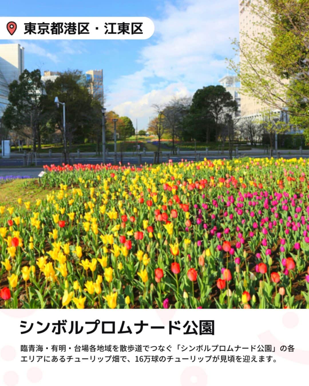 iko-yo（いこーよオフィシャル）さんのインスタグラム写真 - (iko-yo（いこーよオフィシャル）Instagram)「「都内の大規模 チューリップ畑6選」 今回ピックアップしたのは↓ ーーーーーーーーーーーーーーーーーー  📍東京都立川市 【国営昭和記念公園】 昭和天皇御在位50年を記念して造られた国営公園です。東京ドーム約39個分の広大な敷地では、1年を通してさまざまな花が観賞できます。また、園内を渓流広場から北へ進むと、巨大なトランポリン「雲の海（ふわふわドーム）」や日本一の大きさのハンモック「虹のハンモック」などが子供たちに人気の遊び場「こどもの森」もあります。  📍 東京都港区・江東区 【シンボルプロムナード公園】 公園内はウエスト・センター・イーストという3つのエリアに分かれており、それぞれにシンボリックなモニュメントやイベント会場が設置されています。新交通ゆりかもめ「お台場海浜公園駅」～「有明駅」の各駅より下車、徒歩すぐ。りんかい線「東京テレポート駅」「国際展示場駅」下車、徒歩すぐと都市にありながら、海と自然に囲まれた景色を満喫できるスポットです。  📍 東京都千代田区 【日比谷公園】 四季折々の花の名所としても人気のスポットです。敷地内には、幾何学文様の洋風花壇や噴水などがあり、公会堂や大小音楽堂、千代田区立日比谷図書文化館などの文化施設もあって、1年を通してさまざまなイベントが開催されます。  📍 東京都足立区 【足立区都市農業公園】 「自然と遊ぶ、自然に学ぶ、自然と共に生きる」をテーマにした農業公園。子供たちには遊具広場にある長い滑り台や遊具アスレチックが人気です。また、園内には田んぼや畑があり、無農薬無化学肥料での栽培が行われているほか、年間を通じて、自然あそびや染め物体験、ミツバチ観察などさまざまな教育プログラムを開催。 📍 東京都江東区 【猿江恩賜公園】 スポーツを中心に、気持ちの良い広場でさまざまなアクティビティが楽しめる公園です。園内の北側には、テニスコートやジョギングコース、大人向けの健康遊具が設置された健康広場があるほか、遊具がある冒険広場があるので、子供連れは遊んで帰るのがおすすめ！  📍 東京都羽村市 【根がらみ前水田】 今年も「はむら花と水のまつり2023」が開催されます。3/25～4/9の「前期さくらまつり」は、例年とは異なり、桜づつみ公園、水上公園・親水公園にて開催。4年振りに飲食店等の模擬店も出店予定となっています。「後期チューリップまつり」は、4/10～4/20に根がらみ前水田にて開催されます。  ※2023年3月24日時点の情報です。 最新の情報は公式HPや「いこーよ」サイトでご確認ください。 ーーーーーーーーーーーーーーーーーーー おでかけ情報量は日本最大級！ 子どもとお出かけ情報サイト「いこーよ」 「親子でおでかけしたい場所」をご紹介させていただいています！  お子さんとのおでかけの思い出の写真を、このアカウントをフォローの上#いこーよ をつけてぜひ投稿してください。魅力的な写真は、いこーよ公式SNSで紹介させていただきます！  募集中タグ＃いこーよ  「子どもと行きたい！」と思ったら保存が便利！ プロフィールのURLから「いこーよ」のサイトに行くと、他の投稿やオトクな情報などが載っています♪ ☞ @ikoyo_odekake  #いこーよ #お出かけ #おでかけ #お出かけスポット #子育て #こどものいる暮らし #子連れスポット #いこーよお出かけ部 #東京ママ#東京観光#東京旅行#チューリップ#チューリップ畑#国営昭和記念公園#シンボルプロムナード公園#日比谷公園#足立区都市農業公園#猿江恩賜公園#根がらみ前水田」3月29日 19時01分 - ikoyo_odekake