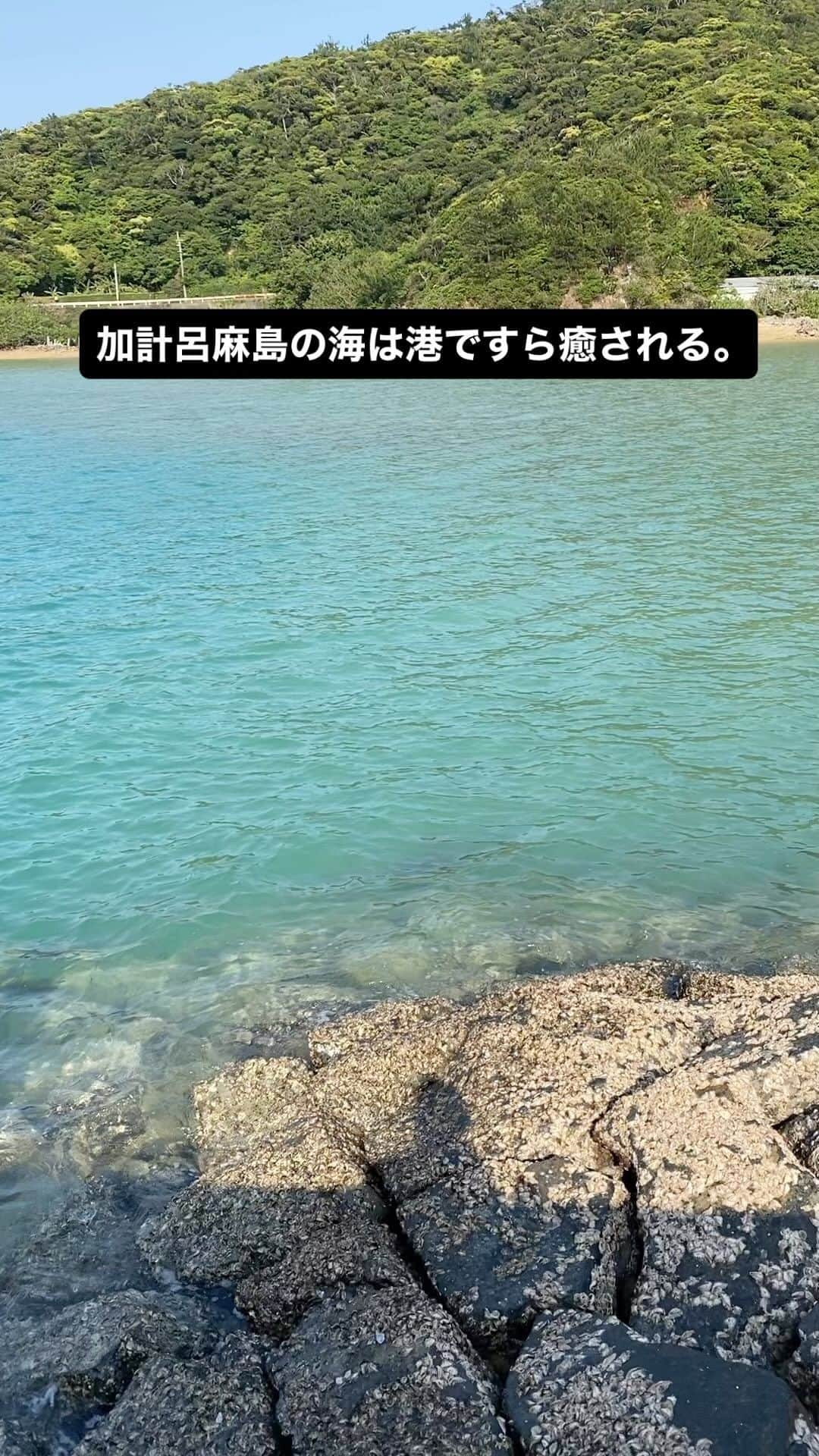 三谷晶子のインスタグラム：「加計呂麻島の海は港ですら癒される。  #加計呂麻島」