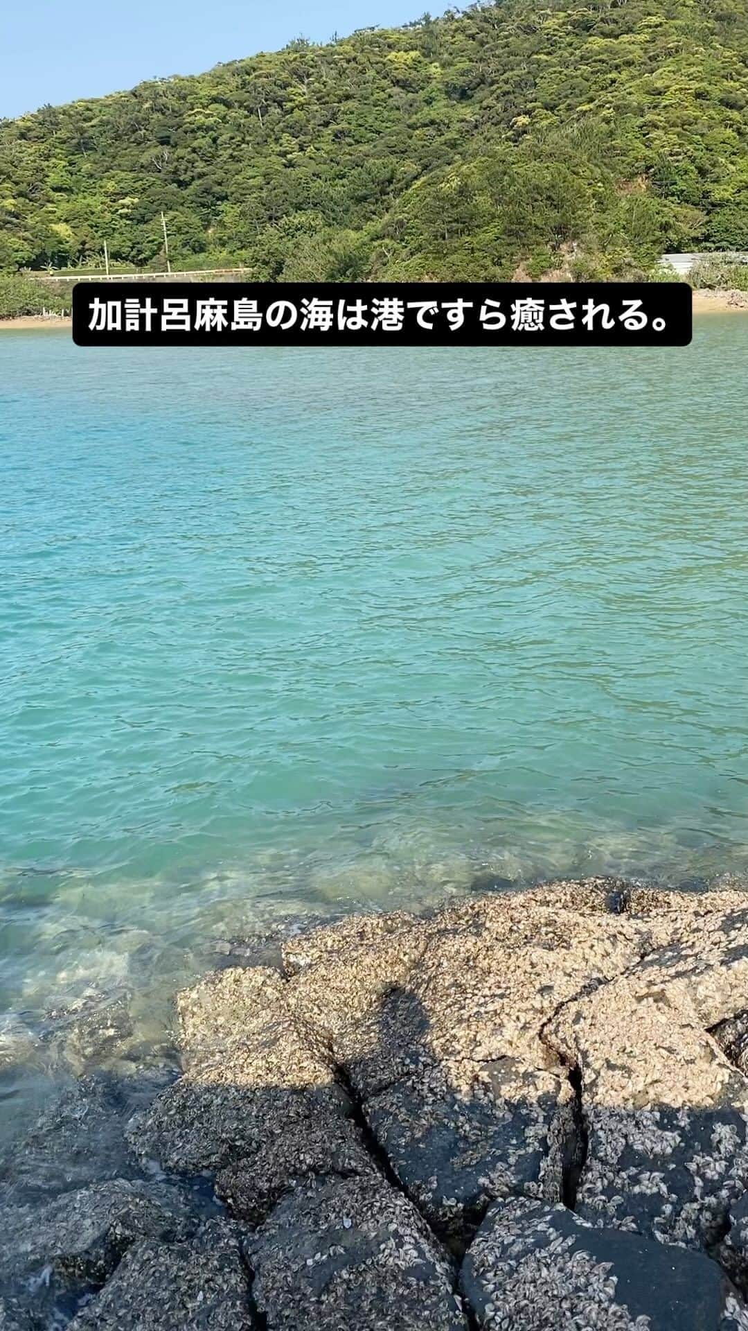 三谷晶子のインスタグラム：「加計呂麻島の海は港ですら癒される。  #加計呂麻島」