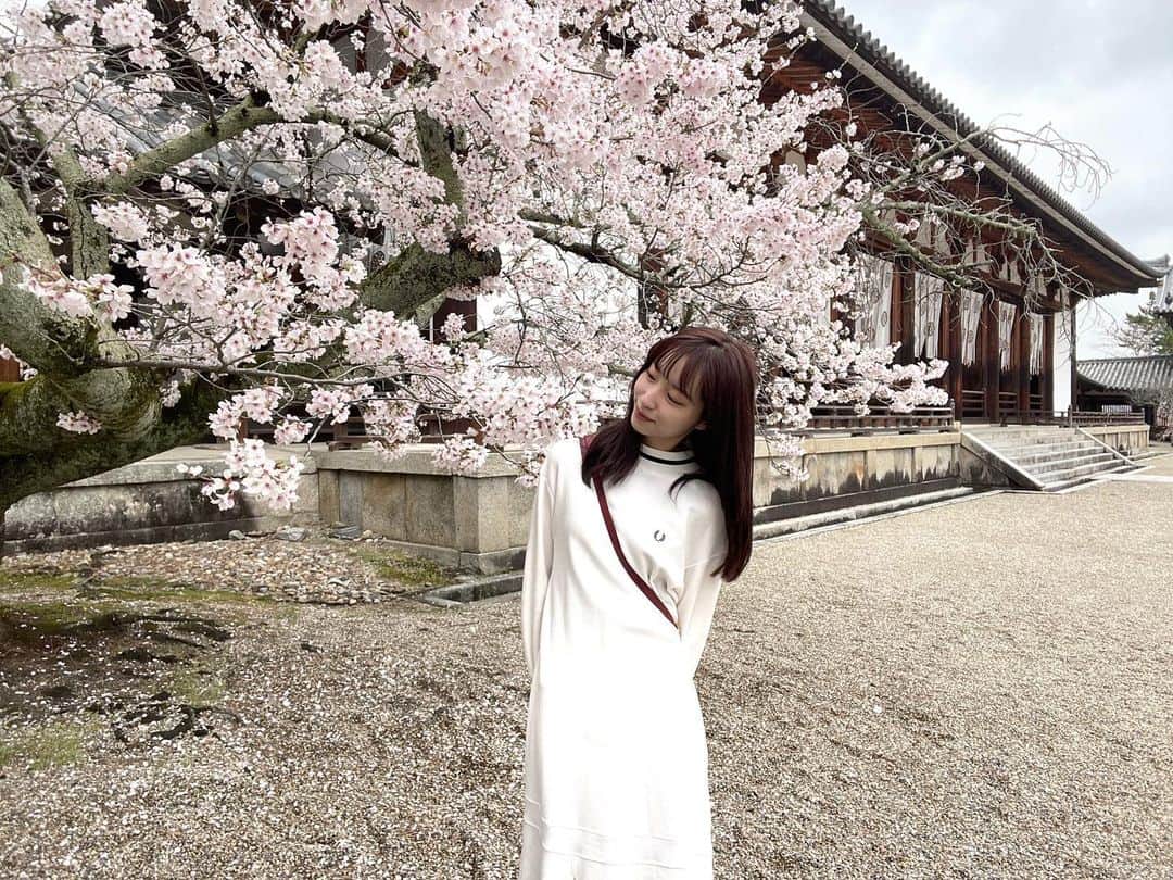 林佑香のインスタグラム：「先週末、両親と関西旅行に行きました✈️  法隆寺の桜がとてもきれいでした🌸 聖徳太子の時代にタイムスリップしたかのような気持ちに☺️ ✨  今回は鹿に会えなかったので次こそ会いたいです🦌」