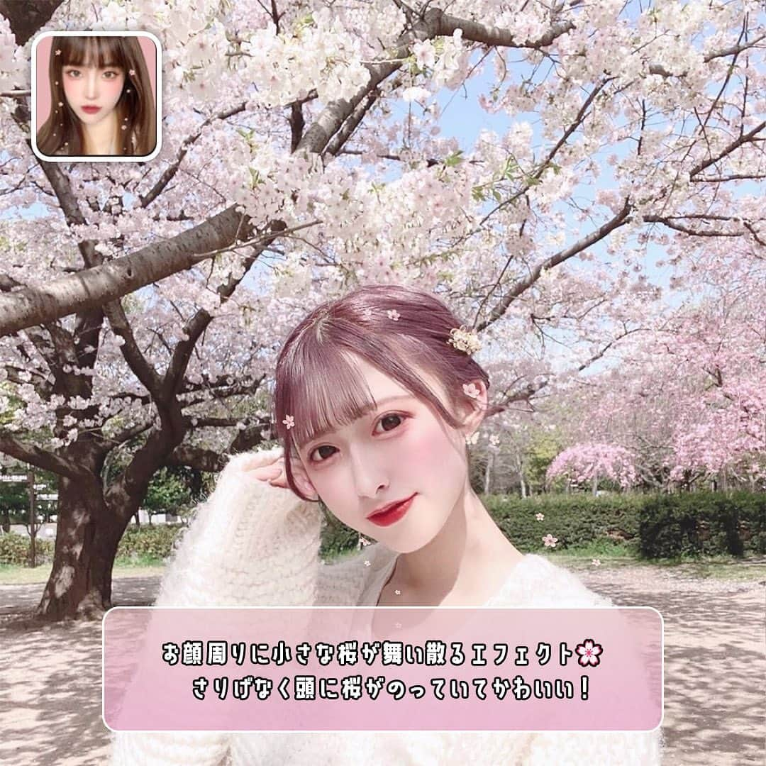 「SNOW」顔認識カメラアプリさんのインスタグラム写真 - (「SNOW」顔認識カメラアプリInstagram)「桜の季節到来🌸 桜フォトをさらに可愛く加工できる SNOWエフェクト特集♡  桜フォトを撮ったときは ぜひSNOWを使って可愛く加工してね💕︎   #snow  #snowcam #カメラアプリ #桜フォト  #桜  #お花見  #花見  #cherryblossom  #写真加工  #snowエフェクト  #エフェクト  #ピンク加工」3月29日 19時24分 - snow_japan