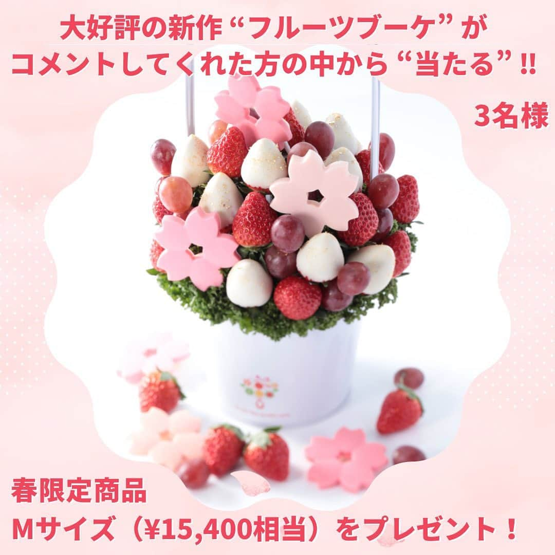 Fruit-bouquets.comのインスタグラム：「🌸"大好評" 春の新商品プレゼント企画🌸 期間限定商品「桜」を3名様にプレゼント🎁  【応募方法】 下記いずれかの方法で応募できます ①この投稿へコメント(なんでもOK！動画投稿や他のSNSでも投稿可能な方はぜひアピールしてください！) ②この投稿をストーリーでシェア  ①②両方行うことで当選確率UP！  ※②の場合は、このアカウントへのタグ付けを忘れずに⚠️  【応募期間】 2023/03/29〜2023/03/31  【応募条件】 本州(広島県、島根県、山口県を除く)にお住まいの方(配送上の都合のため)  【当選連絡】 当選された方には4/4までにDMでご連絡いたします。  ※当選連絡のDMでクレジットカードの情報を入力をしていただくことはございません  ※仕入れ状況によっては画像のフルーツとは異なるデザインになる場合がございます  #フルーツブーケ #フルーツギフト #フルーツケーキ  #インスタ映えスイーツ #いちごスイーツ  #いちごケーキ #いちごパフェ  #お取り寄せスイーツ #お取り寄せグルメ  #スイーツ好きな人と繋がりたい  #誕生日プレゼント #誕生日ケーキ  #プレゼント企画 #プレゼントキャンペーン」