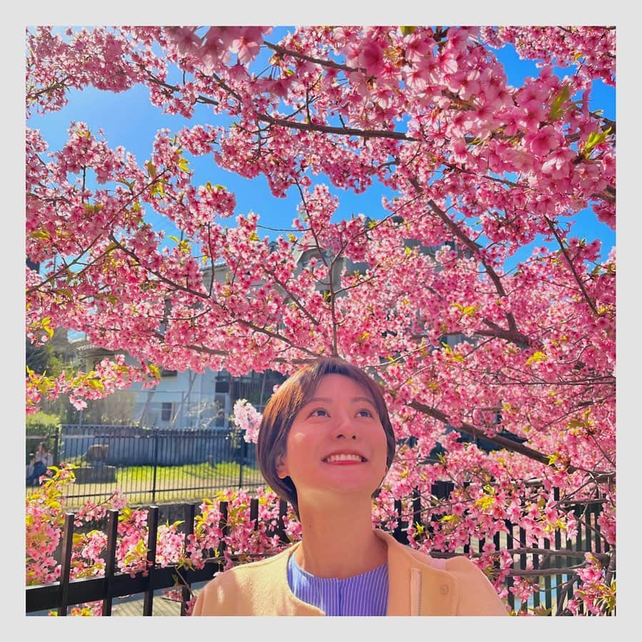 徳島えりかのインスタグラム：「* ロケでご一緒して以来、師と仰ぐ（勝手に） @shota.mebakuro さんが 素敵な加工方法を載せてくださっていたので スマホの機能を使ってみました☺️🌸 ⁡ #アニメチック になったかな… #師匠の写真はもっときれいです🥹 #桜」