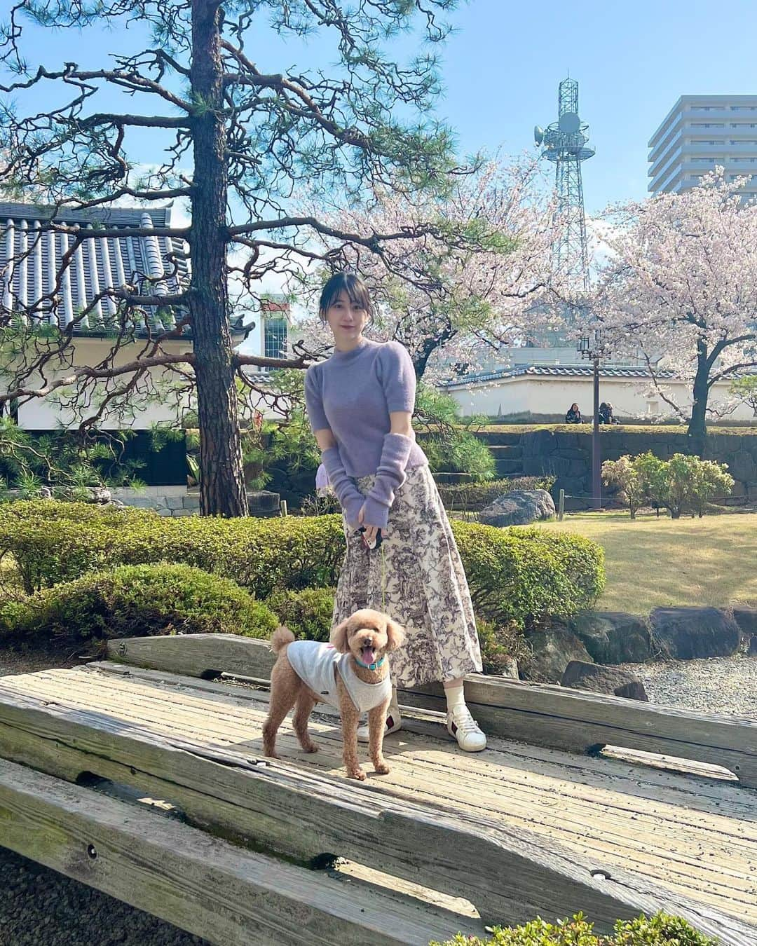 大須賀あみのインスタグラム：「素敵な庭園と桜〜🌸 お花や美しい景色ってなんでこんなに心が浄化されるんですかね☺️  また来年も、同じ美しい景色が見れるように元気に頑張ろう！！  (ミルキーの顔可愛すぎる)  #ingni #mystywoman #プチプラコーデ #甲府城」