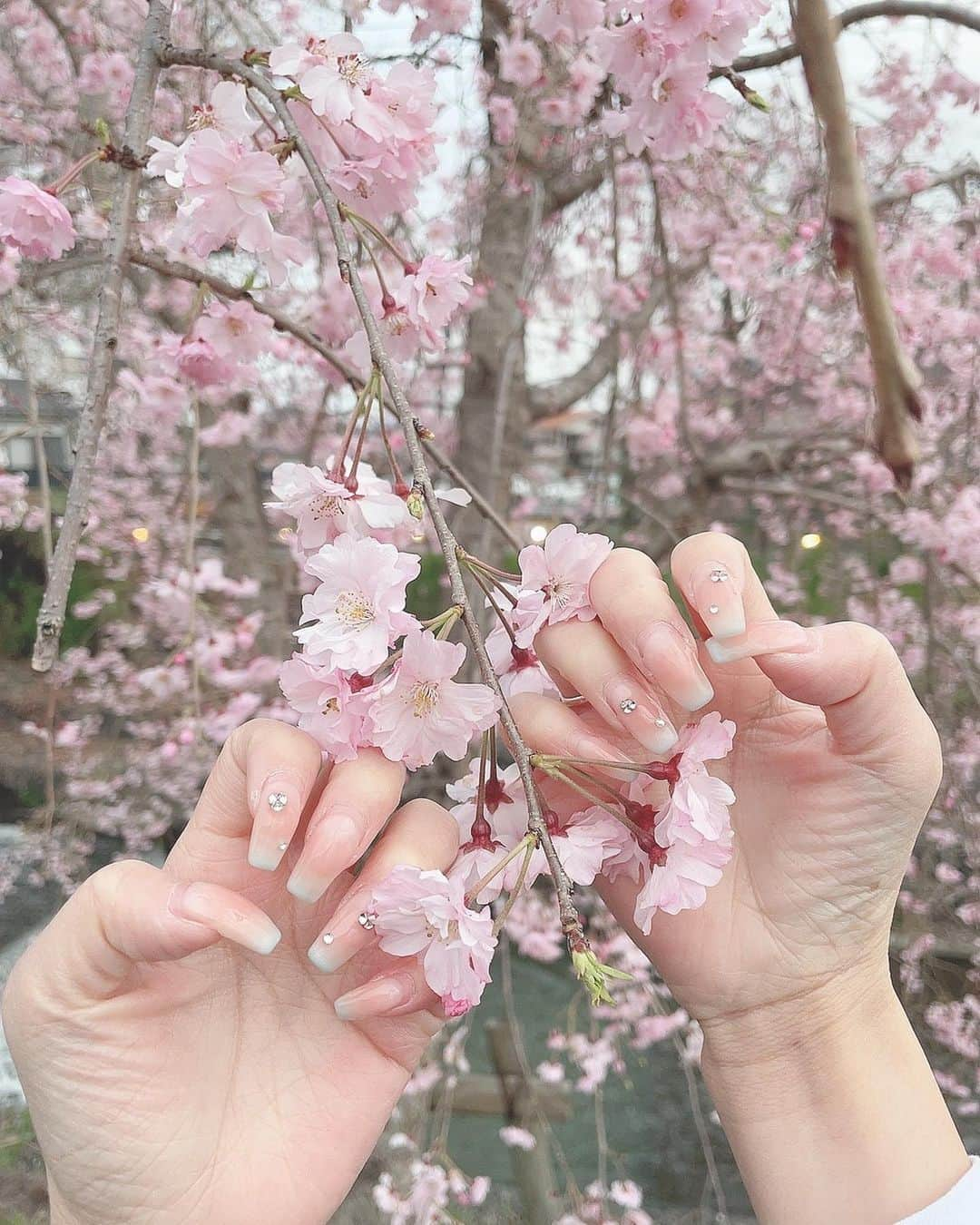 早河ルカ（るー）さんのインスタグラム写真 - (早河ルカ（るー）Instagram)「桜綺麗だったあ！！！🌸🥹  みんなお花見した〜？？  @light_care_salon ハイフして貰ったよ〜！！顔がスッキリした🥺❤️‍🔥」3月29日 19時37分 - ru_4519