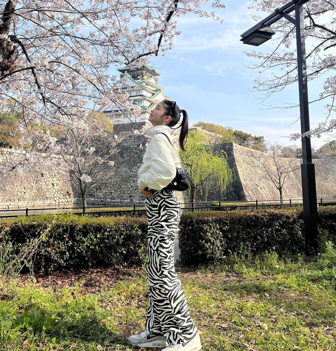 神田萌衣のインスタグラム：「お花見今年できるかなーって思ってたけど急遽🌸  大阪城の桜の下でハンバーガーテイクアウトしてピクニック🍔 最高にいい天気すぎて幸せだった🙂🌸  大阪城でまたお気に入りスポット増えた📍💫」