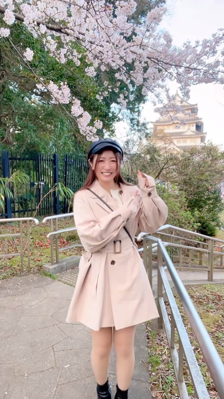 のインスタグラム：「千葉城でお花見🌸#千葉城 #お花見 #桜祭り #桜 #🌸 #japantravel #japanese #japanphoto #城 #お城 #千葉 #千葉観光」
