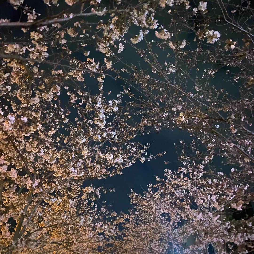 板谷由夏 のインスタグラム：「気温差ありまくりの関東のお天気。 雨もよく降るね。 春は何かとバランス崩しがち。 ご自愛ください。 散歩してたら花々が美しい季節ですね。」