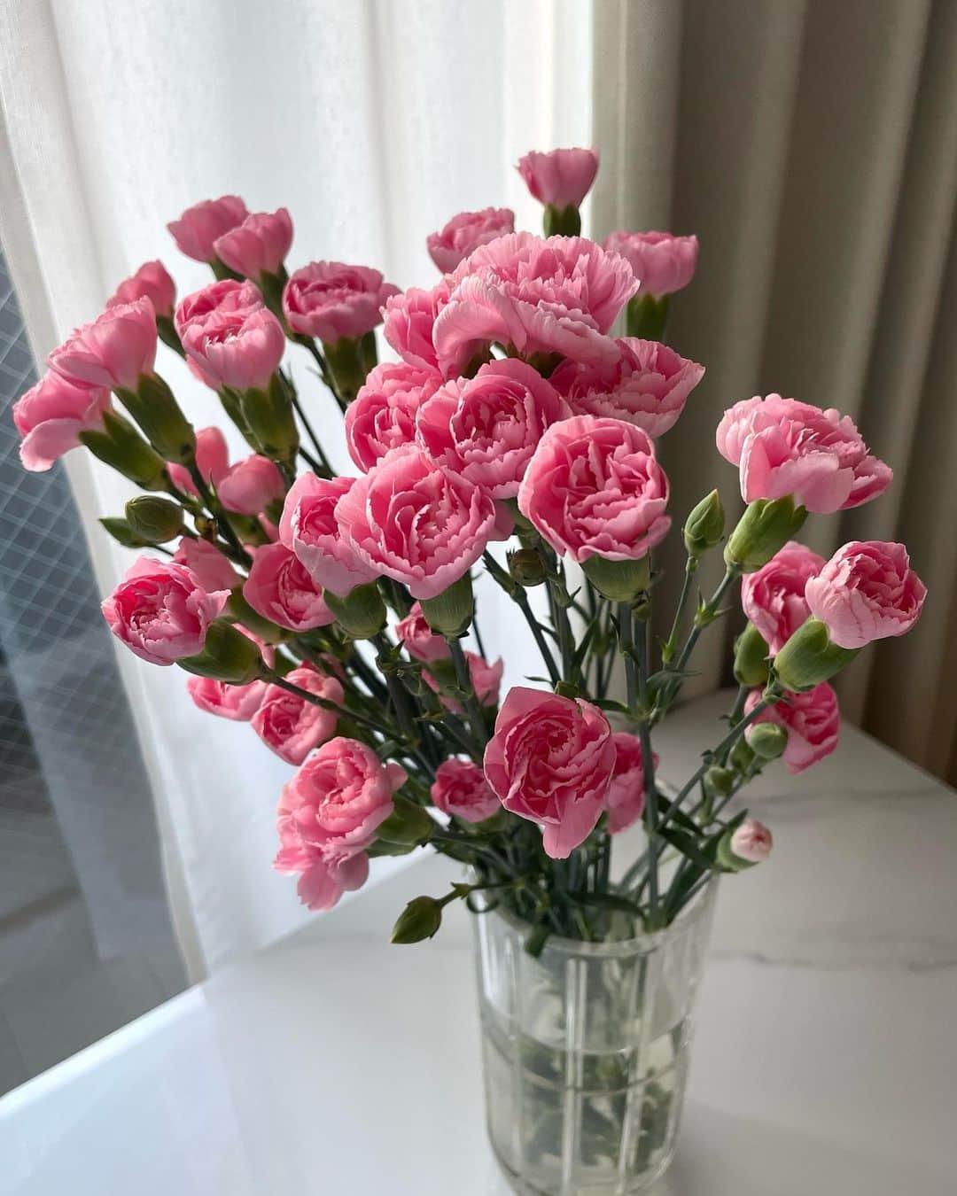 のインスタグラム：「近所のお花屋さんで…🌸 ふんわり咲いてくれるといいな〜」