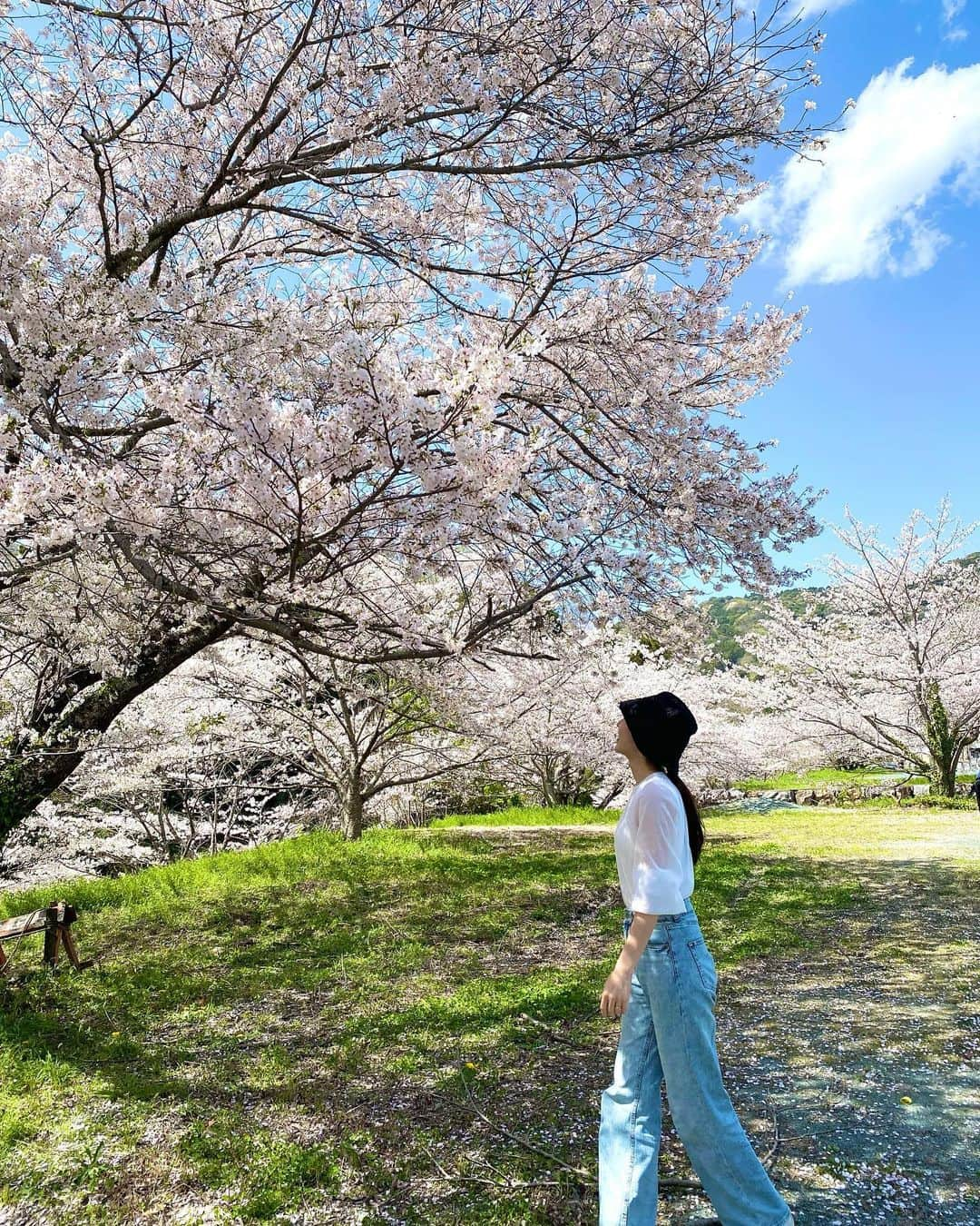 殿柿佳奈のインスタグラム：「私の故郷の桜🌸✨  #SAKURA #ドライブ #浜松」