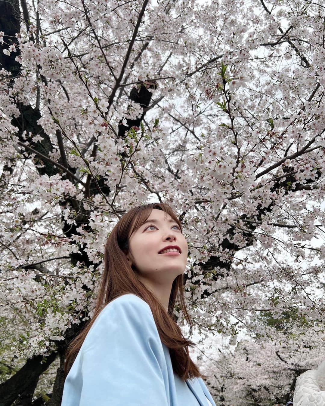 福井姫奈のインスタグラム：「桜めちゃめちゃ綺麗やった🌸 人多すぎて、お花見しながらピクニックはできんかったから次回に🫠  上野はパンダだらけでした🐼🫶🏻  皆さん、今日も1日お疲れ様です☺︎  #桜#お花見#🌸#上野#上野公園」