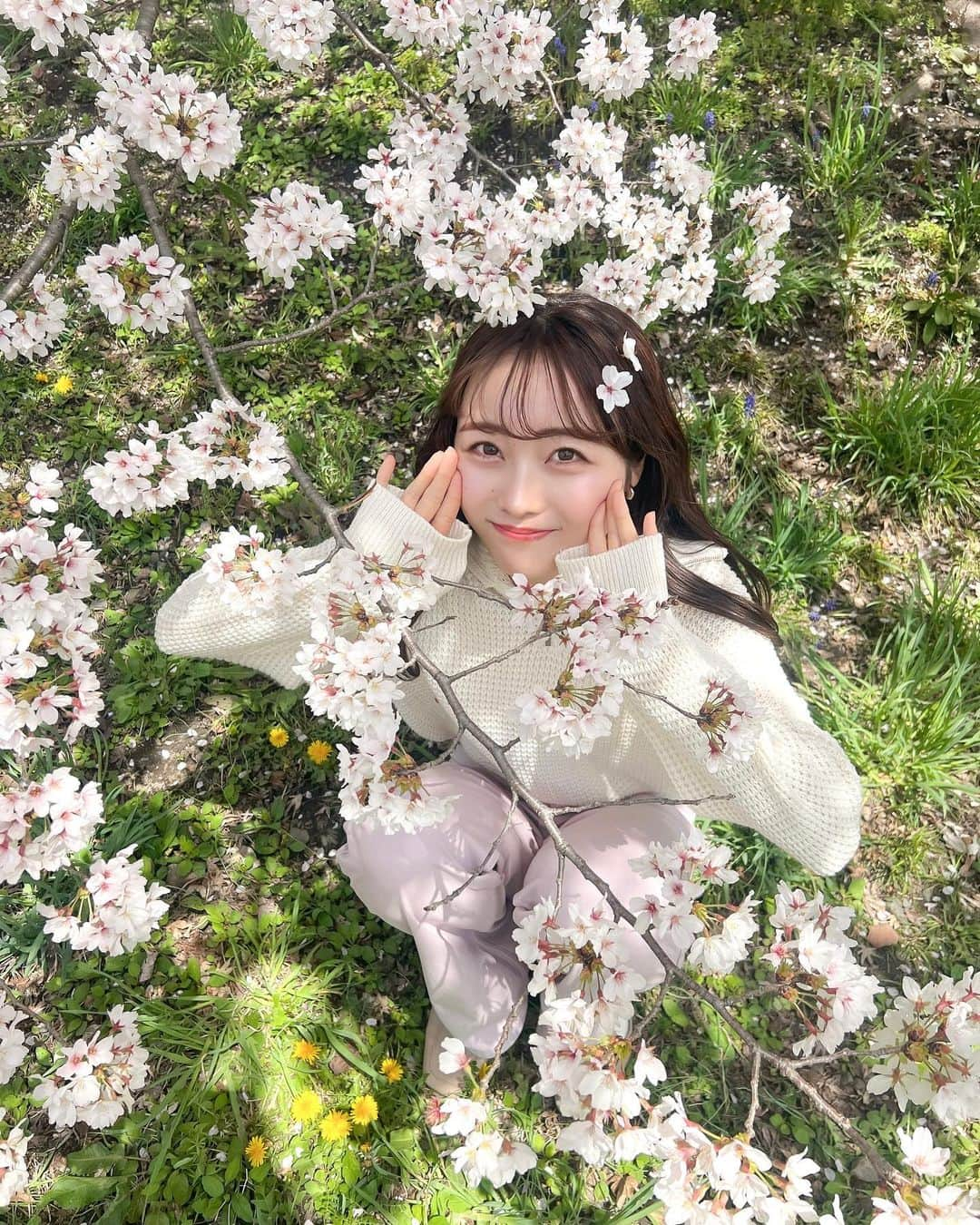 志賀可奈子さんのインスタグラム写真 - (志賀可奈子Instagram)「🌸🌸  2日連続でお花見行きました🧺  #京都の桜 #鴨川 #お花見 #chillskyoto」3月29日 20時02分 - kanapan_ya