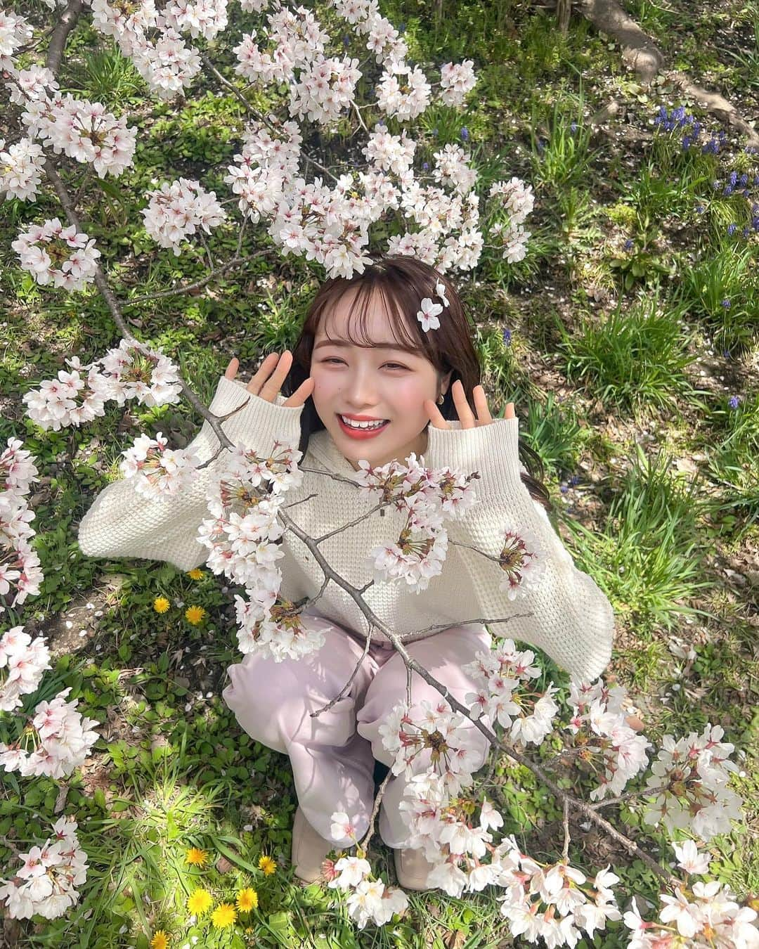 志賀可奈子さんのインスタグラム写真 - (志賀可奈子Instagram)「🌸🌸  2日連続でお花見行きました🧺  #京都の桜 #鴨川 #お花見 #chillskyoto」3月29日 20時02分 - kanapan_ya