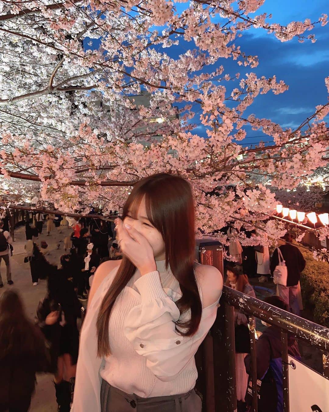 ののこさんのインスタグラム写真 - (ののこInstagram)「夜桜、🌸🌘」3月29日 20時04分 - nontaso2525