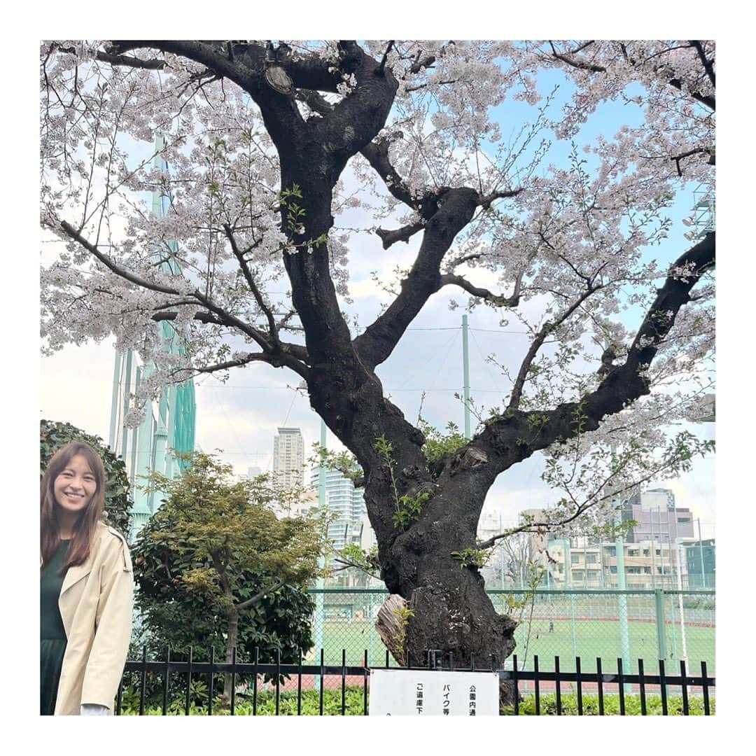 青木裕子さんのインスタグラム写真 - (青木裕子Instagram)「次男撮、『桜とお母さん』  今日はやっと、公園で桜を見ながらお昼ご飯を食べられました。コンビニのおにぎりでしたが🍙  たくさんお弁当作って、 レジャーシートしいてお花見したいなあ🌸  #次男くん📸 #プチお花見」3月29日 20時05分 - yukoaoki_official