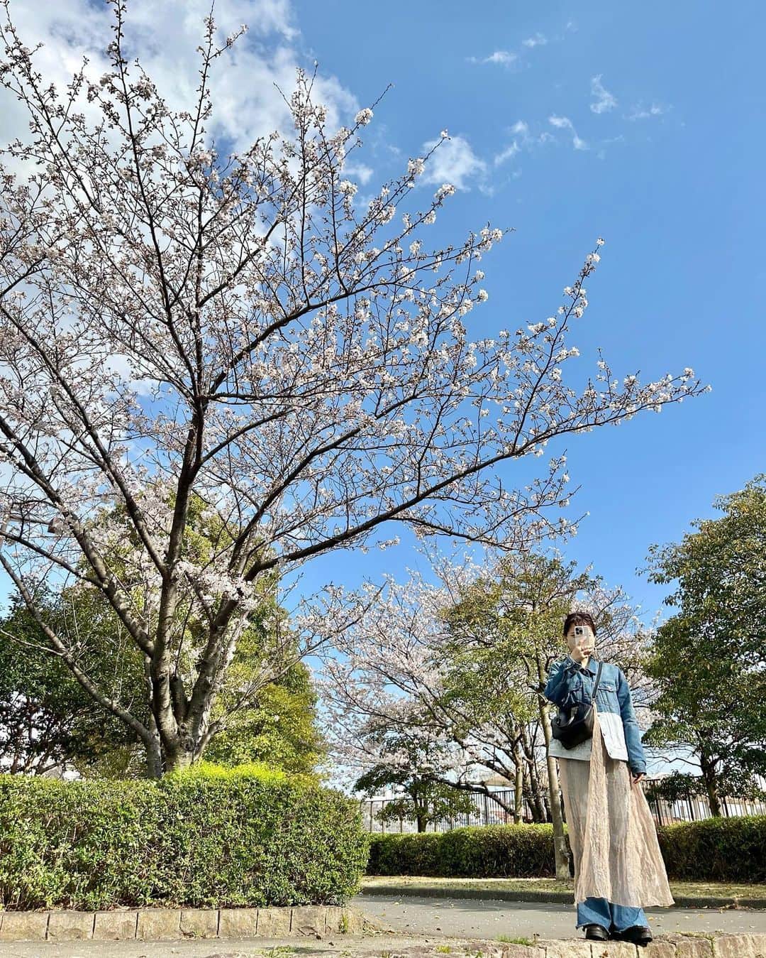 miho uesugiさんのインスタグラム写真 - (miho uesugiInstagram)「夢の島公園へ🚶‍♀️ 散り始めた桜がとても綺麗でした。 競技場付近は本当に人がいなくて私たちだけ…  少し移動して熱帯植物館は、大型の植物に圧倒されました…！！ 生命力の美しさよ🌿 10年くらい前にあったコロシアムは無くなってしまったようです…。  ㅤㅤㅤㅤㅤㅤㅤㅤㅤㅤㅤㅤㅤ春のお散歩にお勧めの地です。  ㅤㅤㅤㅤㅤㅤㅤㅤㅤㅤㅤㅤㅤ  #夢の島#夢の島公園#夢の島熱帯植物館#公園#桜#お花見#休日#休日の過ごし方#散歩#Kastane#Kastane舞浜#Kastane_ootd#骨格ウェーブ#イエベ春#コーディネート#今日のコーデ#コーデ#大人カジュアル#カジュアル#ロングヘア#オン眉#ワンピース30代ファッション#30代コーデ#カスタネ#低身長#低身長コーデ#春#春コーデ#デニム」3月29日 20時16分 - uepoooning