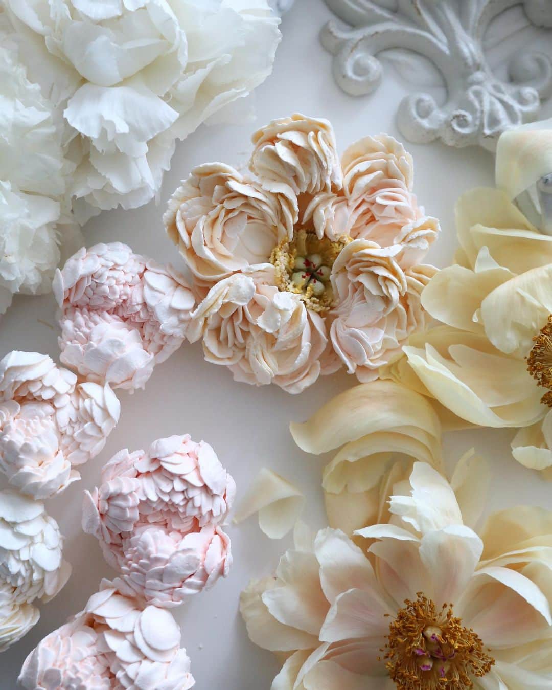 청담 수케이크 (atelier soo)のインスタグラム：「ㅡ 수많은겹을 포근히감싸며 마무리 🕊🤍   #peony」