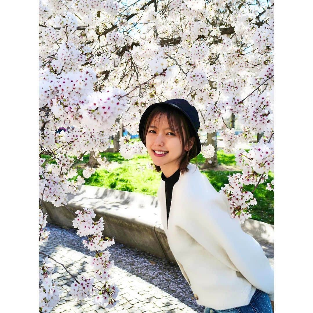 真野恵里菜のインスタグラム：「久しぶりの投稿🌸 みんな元気にしてますか？😊 . . お休みの日にドライブがてら 普段あまり行かない地域に行ってみたら たまたま通りかかった道に桜並木を発見！！ 思わず近くに駐車場を探して停めて見に行っちゃいました🌸 カメラ持って行ってよかった〜📷 . . スペインで桜の木がこんなにもたくさんある場所を見つけたのは初めてで ものすごく嬉しくなりました🫧 3枚目の撮り方が素敵すぎて夫のカメラセンスに感謝🤭 #🌸 #桜 #お花見 #スペイン生活 #カメラ散歩 #春ですね #岳カメラ」