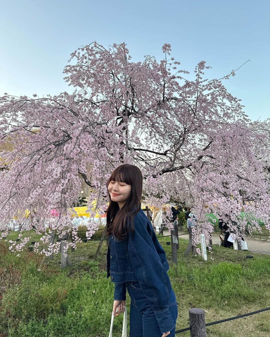 上村亜柚香さんのインスタグラム写真 - (上村亜柚香Instagram)「.  春だね〜🌸」3月29日 20時17分 - kamimuraayuka