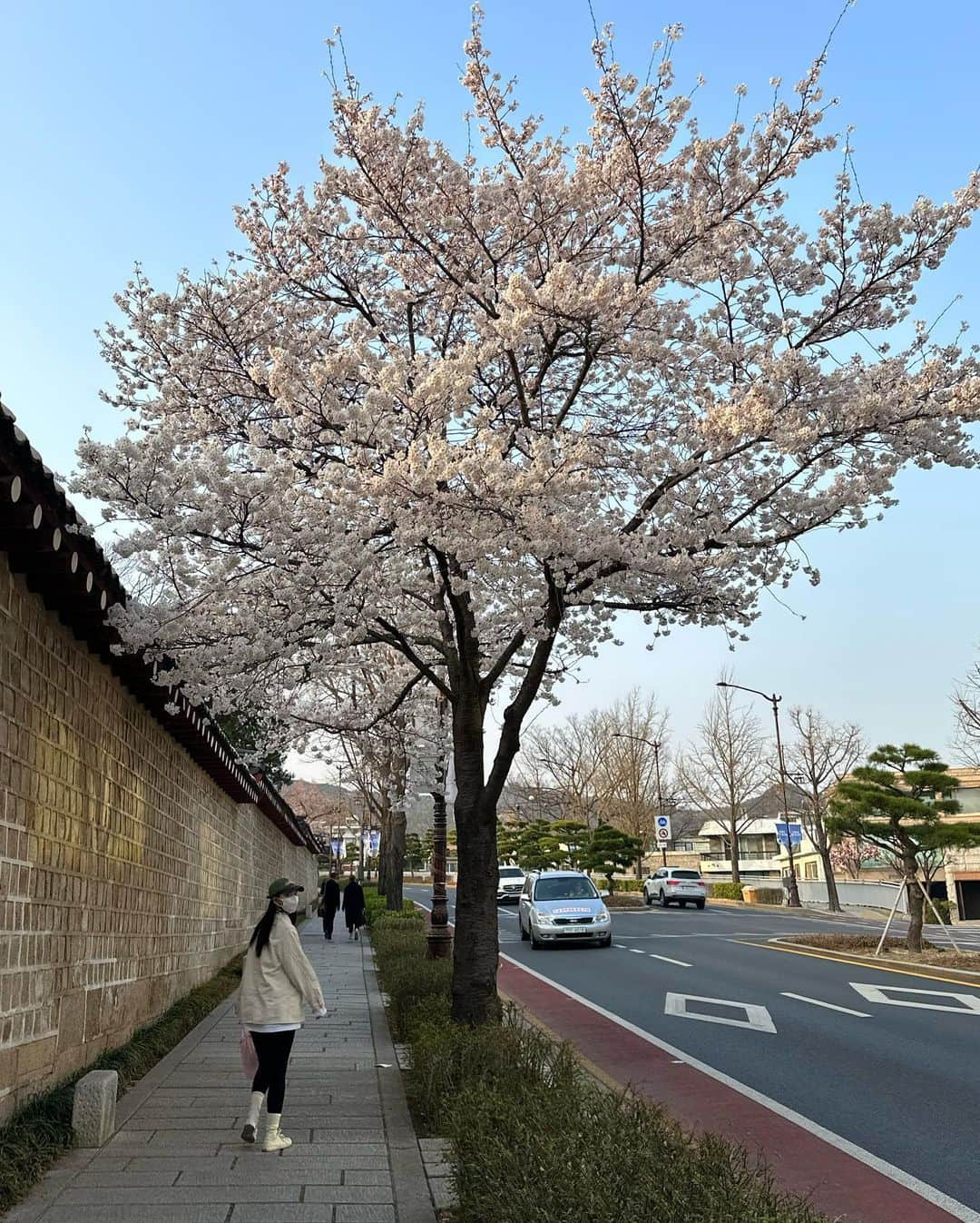 シン・ミナのインスタグラム：「귀여운 나들이 🤍🎨」