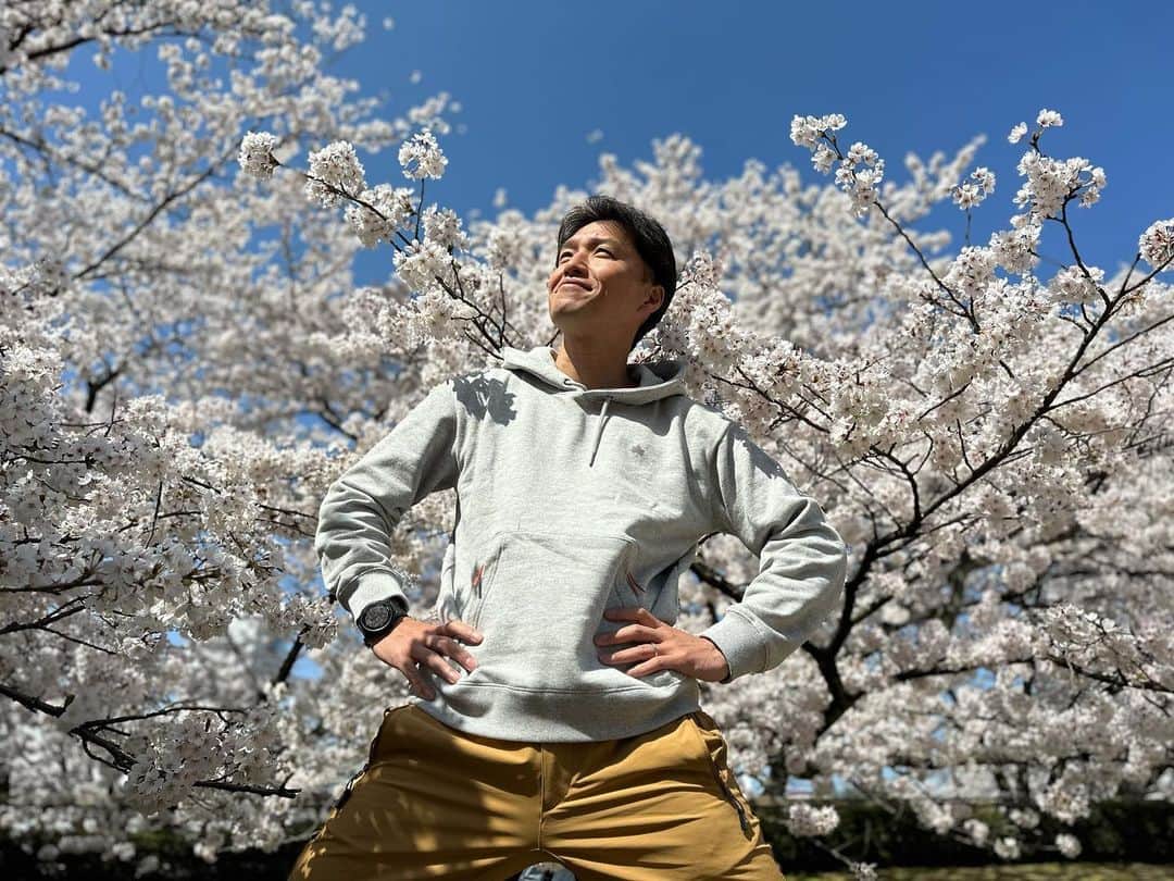山中真さんのインスタグラム写真 - (山中真Instagram)「・ 今日の生中継は 福井の足羽川桜並木から♪  今日も快晴でまさに満開、 抜群に綺麗だったー。  足羽川だけでなく 福井城址の桜も ボリュームたっぷり こちらまでピンクに 染まりそう。  ライトアップも素敵でしたが、 こんなに絶景なのに 人が多くないのが嬉しいかも。  #mbs #よんチャンtv  #毎日生中継 #山ちゃん中継 #足羽川　#足羽川桜並木  #桜のトンネル #福井城址　#福井県福井市  #もちろん週末は混むはず  #独楽吟 #楽しみは生中継でリポートし #皆の笑顔満開な時」3月29日 20時41分 - makorine1120