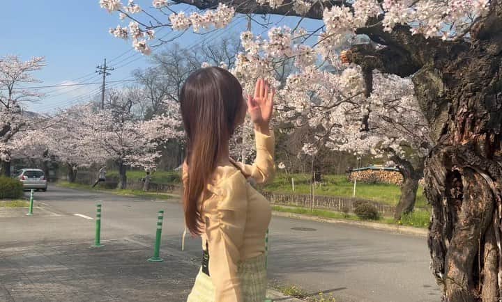 塩地美澄のインスタグラム：「あす午後3時40分〜放送の テレビ東京『よじごじDays』で 今が見頃のサクラ情報をお届けします。  一部イメージDVD風の 演出になっているかも⁉︎笑  お楽しみに〜🌸  ✅ ラジオ新番組「塩地美澄のふくろとじらじお」 毎週金曜よる21時〜  ✅DVD『楽園の扉』発売中  ✅4/12 写真集『Pearl』発売 ※4/15お渡し会のお申し込みはプロフィール欄より #塩地美澄」