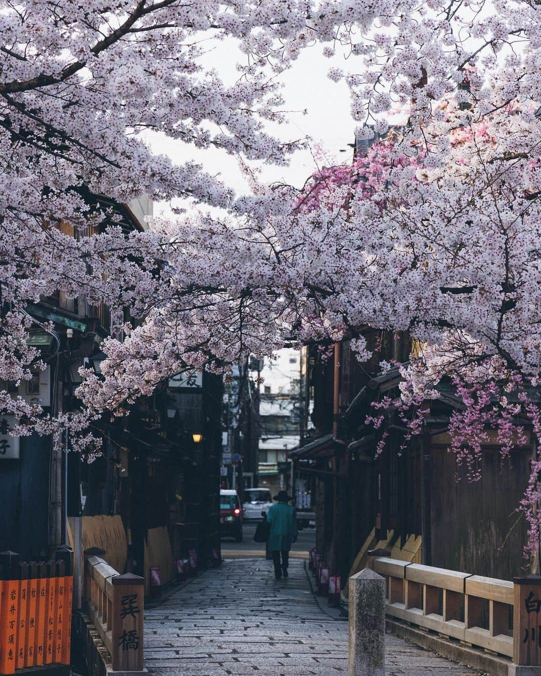 Yuma Yamashitaさんのインスタグラム写真 - (Yuma YamashitaInstagram)「#Cherryblossom in Kansai region #hello from Nara  #桜 #奈良 #京都」3月29日 21時00分 - yuma1983