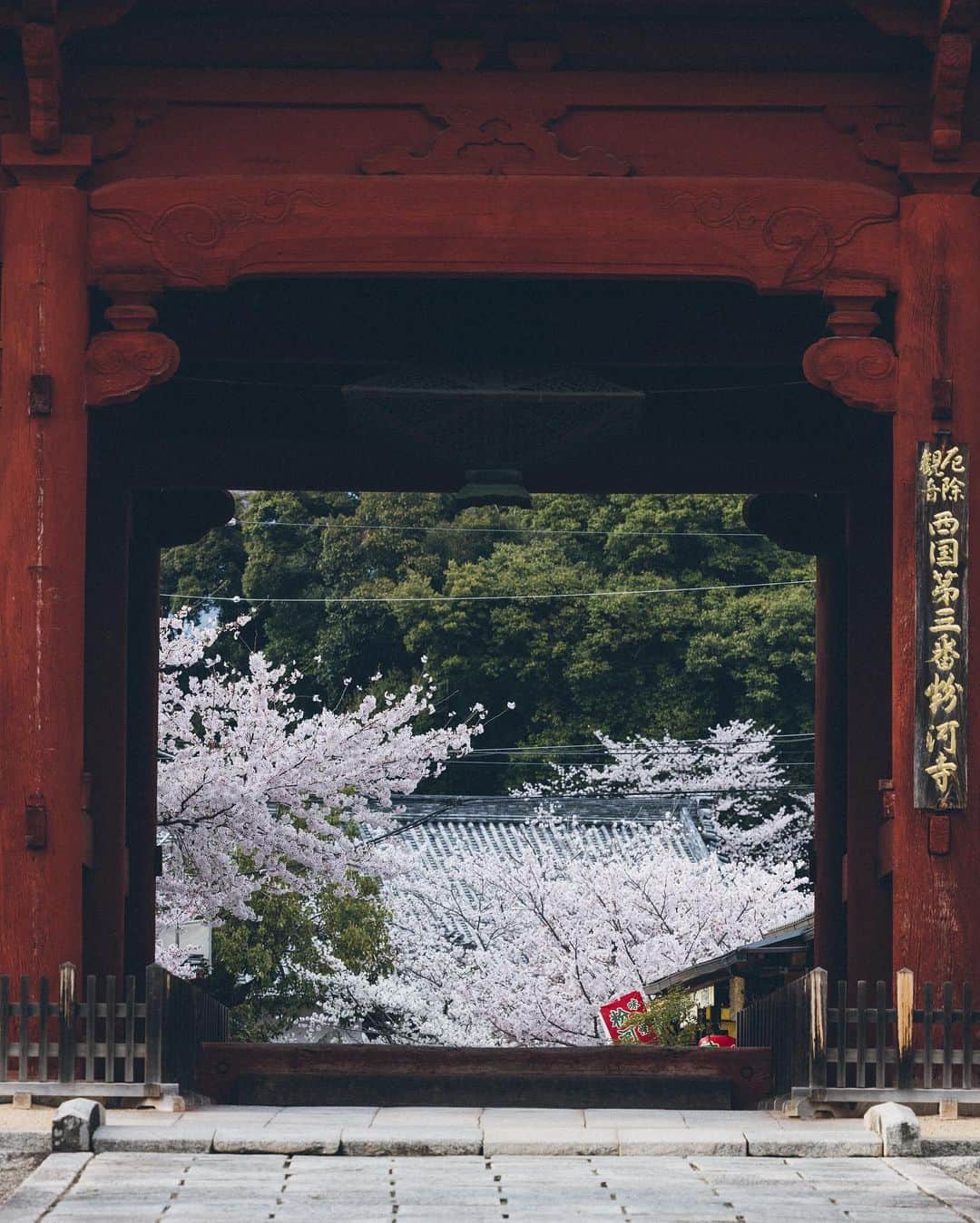 Yuma Yamashitaさんのインスタグラム写真 - (Yuma YamashitaInstagram)「#Cherryblossom in Kansai region #hello from Nara  #桜 #奈良 #京都」3月29日 21時00分 - yuma1983