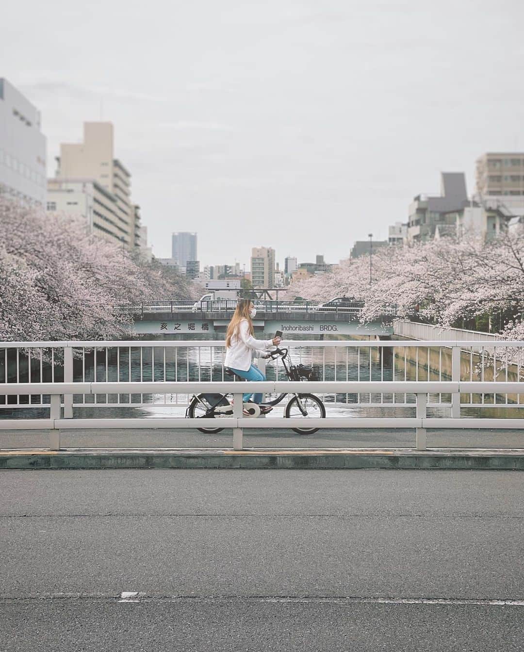 ima_ju / Jun Iのインスタグラム：「: : Pass Through the Blossoms : : また今からそれなりの雨...雨雨雨...☂️🙌💦 かと言って、かつてほど撮りに行くつもりもないんだけどね..😅 色々とスルー気味になってきました🙌 : : ::」