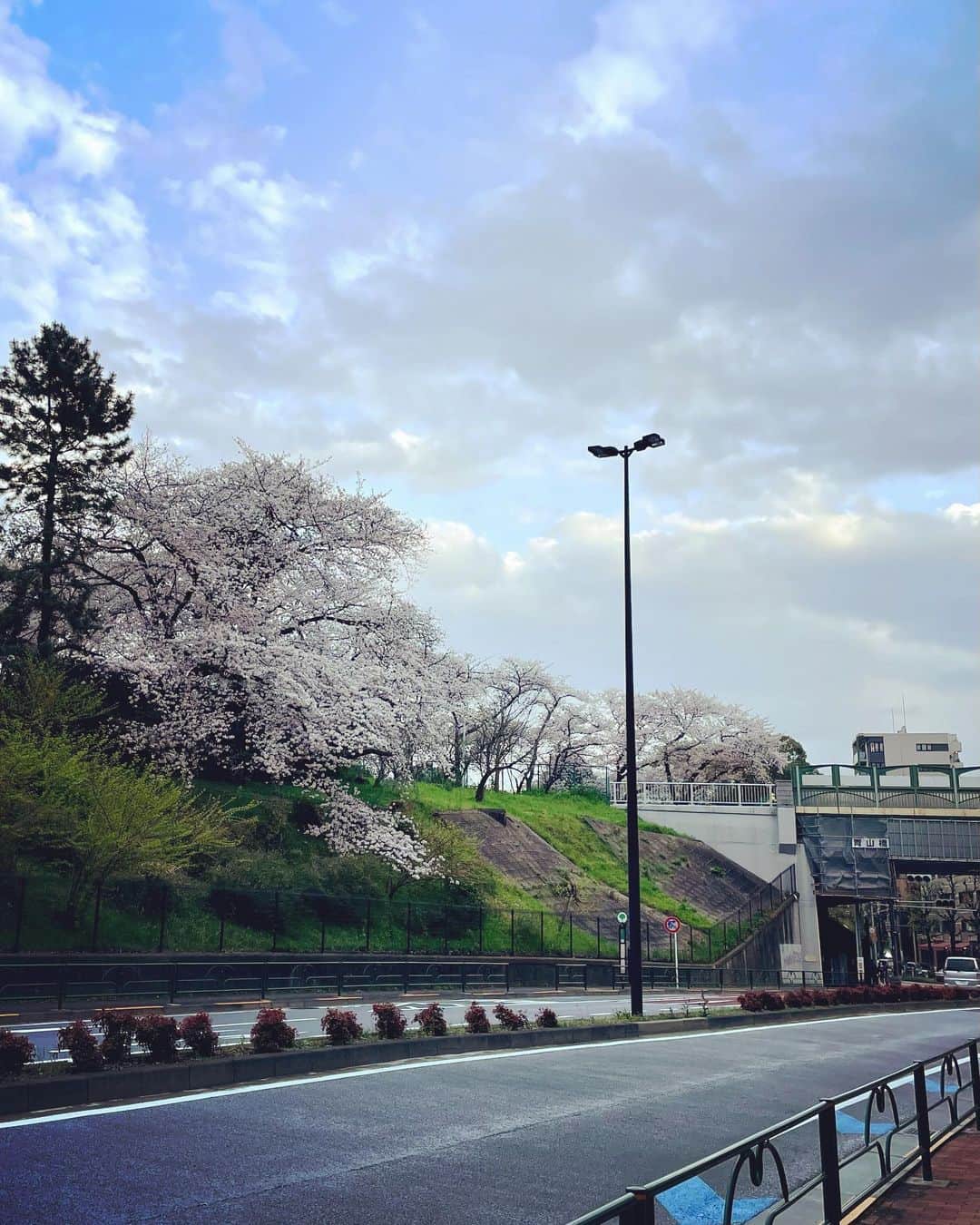 早織さんのインスタグラム写真 - (早織Instagram)「桃源」3月29日 22時45分 - saorioboegaki