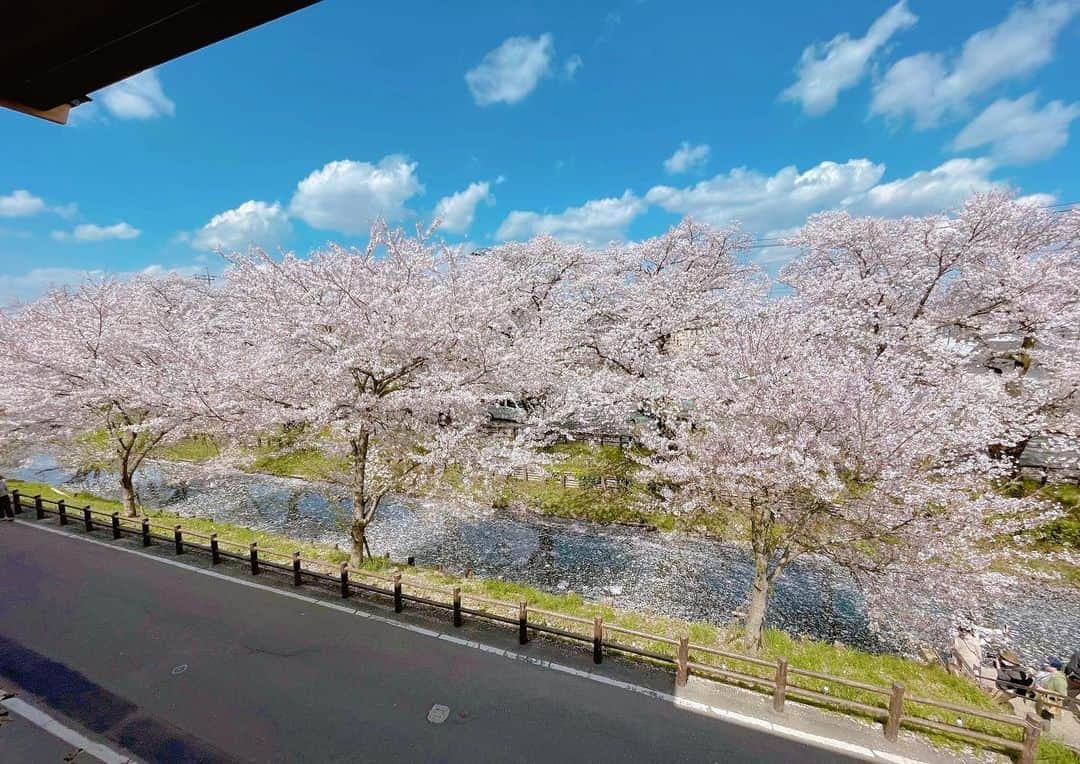 川越氷川神社のインスタグラム