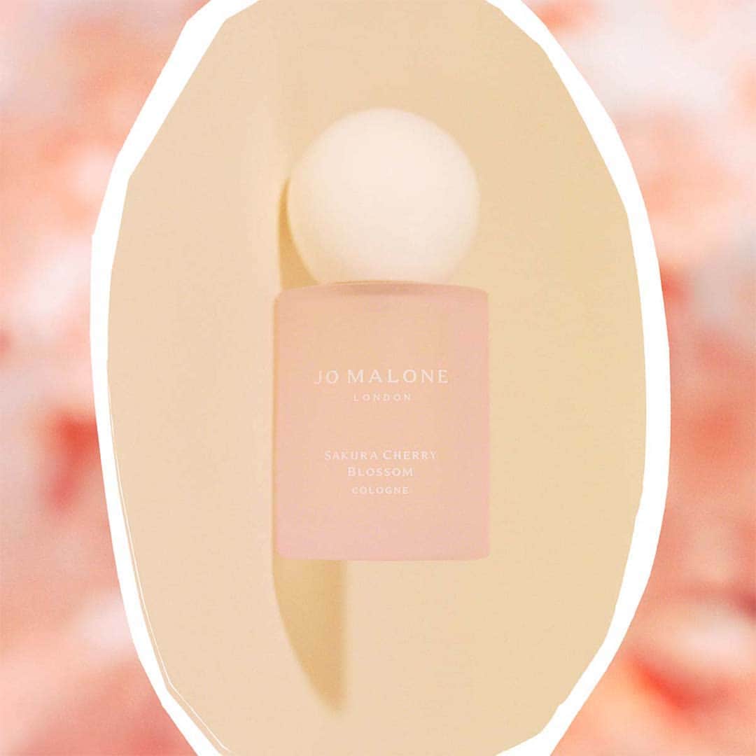 Jo Malone Londonさんのインスタグラム写真 - (Jo Malone LondonInstagram)「Refine your travel routine with Sakura Cherry Blossom, available in a hand luggage-friendly 30ml bottle. Where will you take yours? #BrilliantBlossoms」3月29日 23時01分 - jomalonelondon