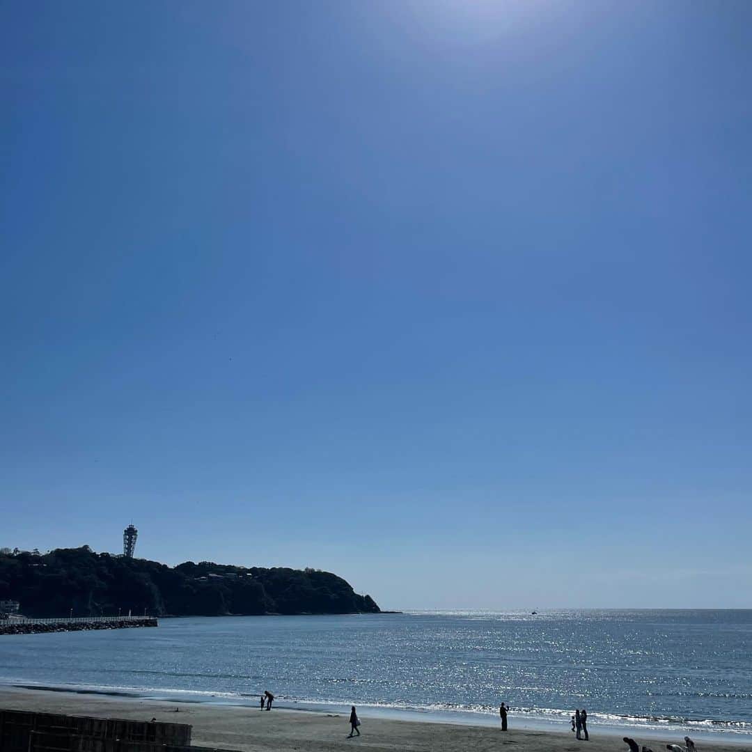 にわみきほさんのインスタグラム写真 - (にわみきほInstagram)「最近の写真🤳🏝🐠🍓🌸🗻🤝」3月29日 23時03分 - mikiho_niwa