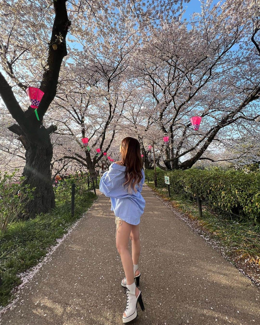 桐原愛歩さんのインスタグラム写真 - (桐原愛歩Instagram)「権現堂の桜祭り🌸 はじめてかな🫣たくさん桜と菜の花咲いててかわいかった〜🥺🫶🏼 . 屋台もあったたくさんたべた！ . #桜まつり #権現堂」3月29日 23時16分 - ayuayu_1003