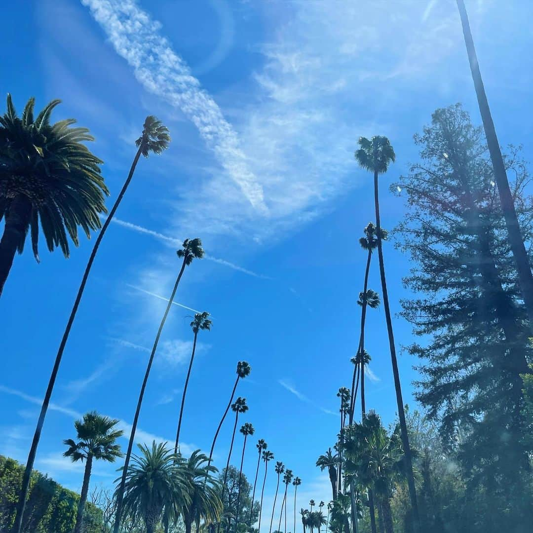 Leslie Camila-Roseさんのインスタグラム写真 - (Leslie Camila-RoseInstagram)「Toxic relationship with LA, Chapter 2. (I wrote a long post about it in January 2022, go read it :)  Trying to leave Los Angeles is like trying to break up with someone you love dearly. You know in your heart, it’s time to go. You aren’t making each other happy anymore. Worse, you are holding each other’s back. The smallest details turn into mountains. You want and need to explore other parts of yourself. Yet, you can’t. Something’s freezing you. You stay. You wait. You start letting fear and doubt drive you. What if LA forgets about me ? What if I don’t fit in when I’m back ? What if I’m wrong ? What it. What if. What if. LA, we have been together for 13 years. I love you. But this isn’t working for me anymore. Let’s take a break. It’s not you. It’s me. Or actually, it’s you. It’s us. You changed. I grew. And it’s ok. It’s life.  Some new places and beautiful projects are waiting for me.  LA, bye (for now). You will be missed (ish).  Photo dump. March 2023. Bye (for now).  #losangeles_city #willrogersstatepark #griffithobservatory #melroseavenue #cityofangels #toxicrelationship」3月29日 23時24分 - leslie_coutterand