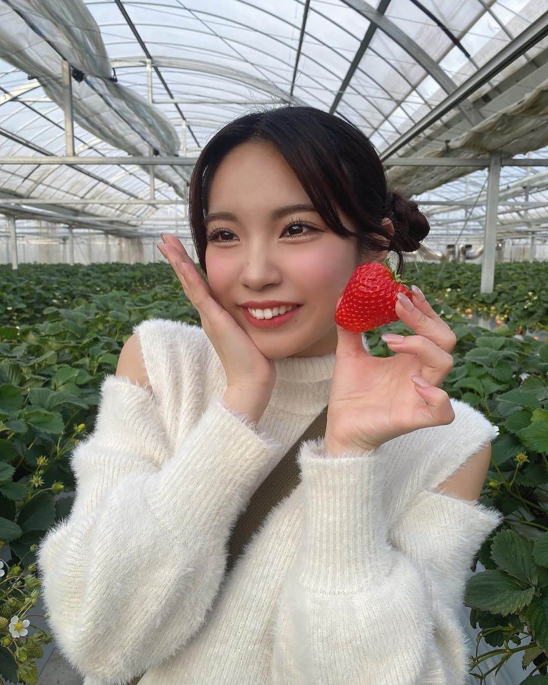 斉藤めぐさんのインスタグラム写真 - (斉藤めぐInstagram)「. . 載せきれてない写真載せる🥹🍓 . #いちご狩り #ミニスカート #あしすたぐらまー #あしすたぐらむ #足 #脚 #脚フェチさんへ #美脚 #ふともも #名古屋 #大須 #生脚 #グラビア #gravure #model #性感 #外拍 #性感內衣 #sexy #selfie #sexyhot #pinupgirl #bajutidurseksi #Comel #asiangirlrider #셀카 #셀피 #셀스타그램 #코디 #스타일링어드바이저」3月29日 23時26分 - megusaitou