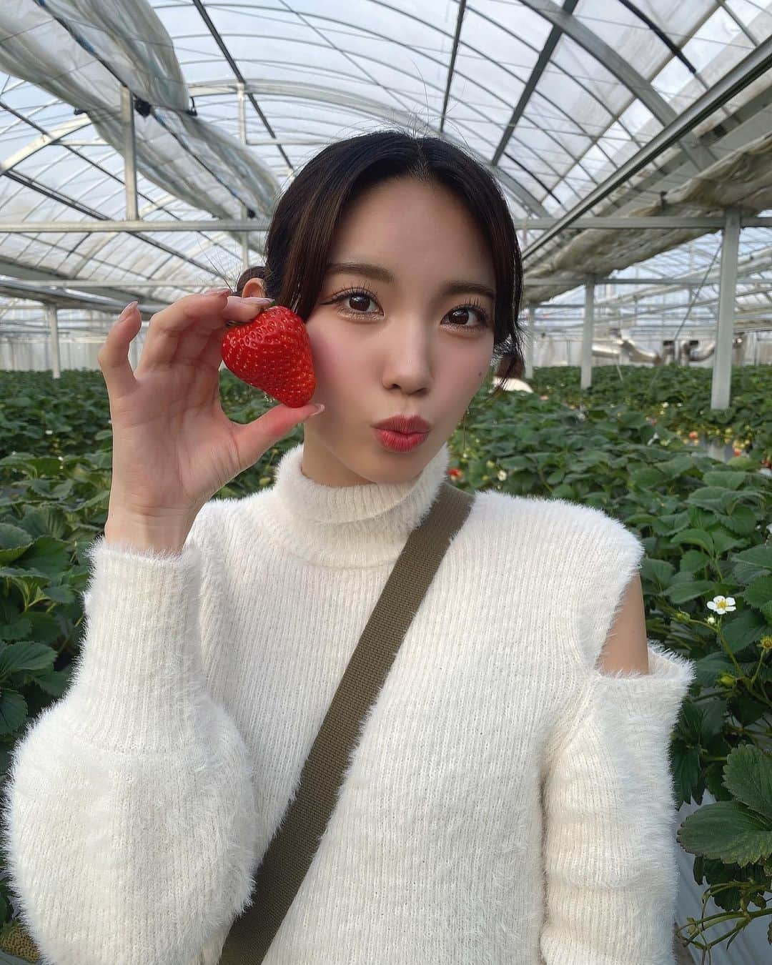 斉藤めぐのインスタグラム：「. . 載せきれてない写真載せる🥹🍓 . #いちご狩り #ミニスカート #あしすたぐらまー #あしすたぐらむ #足 #脚 #脚フェチさんへ #美脚 #ふともも #名古屋 #大須 #生脚 #グラビア #gravure #model #性感 #外拍 #性感內衣 #sexy #selfie #sexyhot #pinupgirl #bajutidurseksi #Comel #asiangirlrider #셀카 #셀피 #셀스타그램 #코디 #스타일링어드바이저」