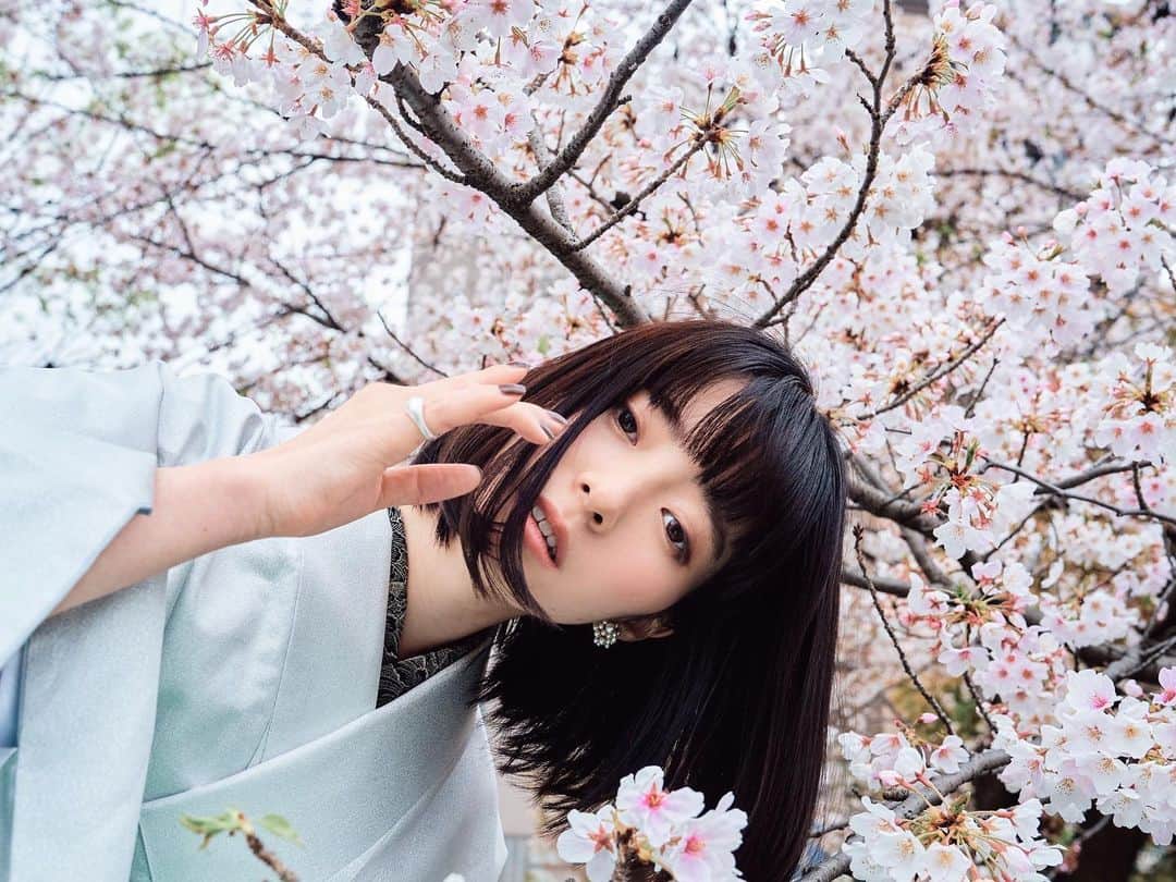 masayuki nittaのインスタグラム：「. 🌸」