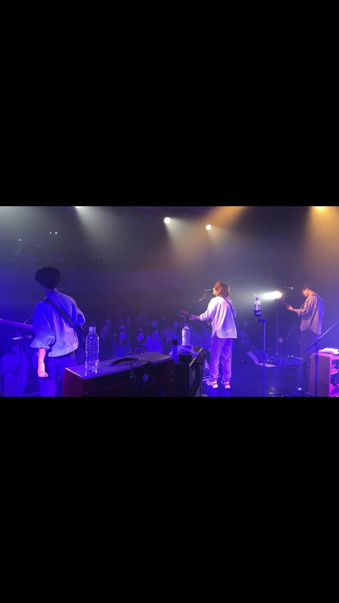 the shes goneのインスタグラム：「. 「PART OF YOUR HEART TOUR 2023」 2023.03.29 札幌PENNYLANE24  ——————————  「ラベンダー」  "あなたで良かった"  ——————————  #theshesgone #シズゴ」