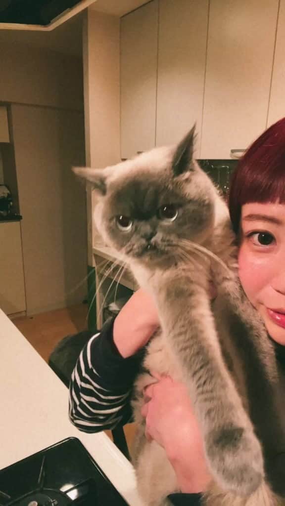 小鳥遊しほのインスタグラム